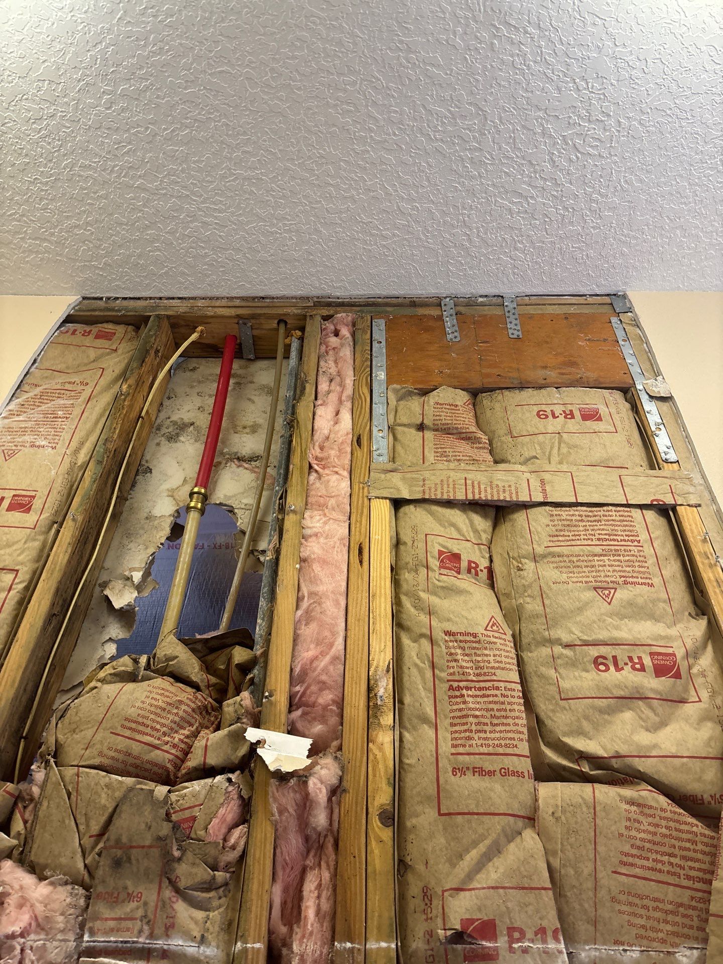 Mold Damage Inspection & Removal In Parrish, FL by Ampm Restoration Services