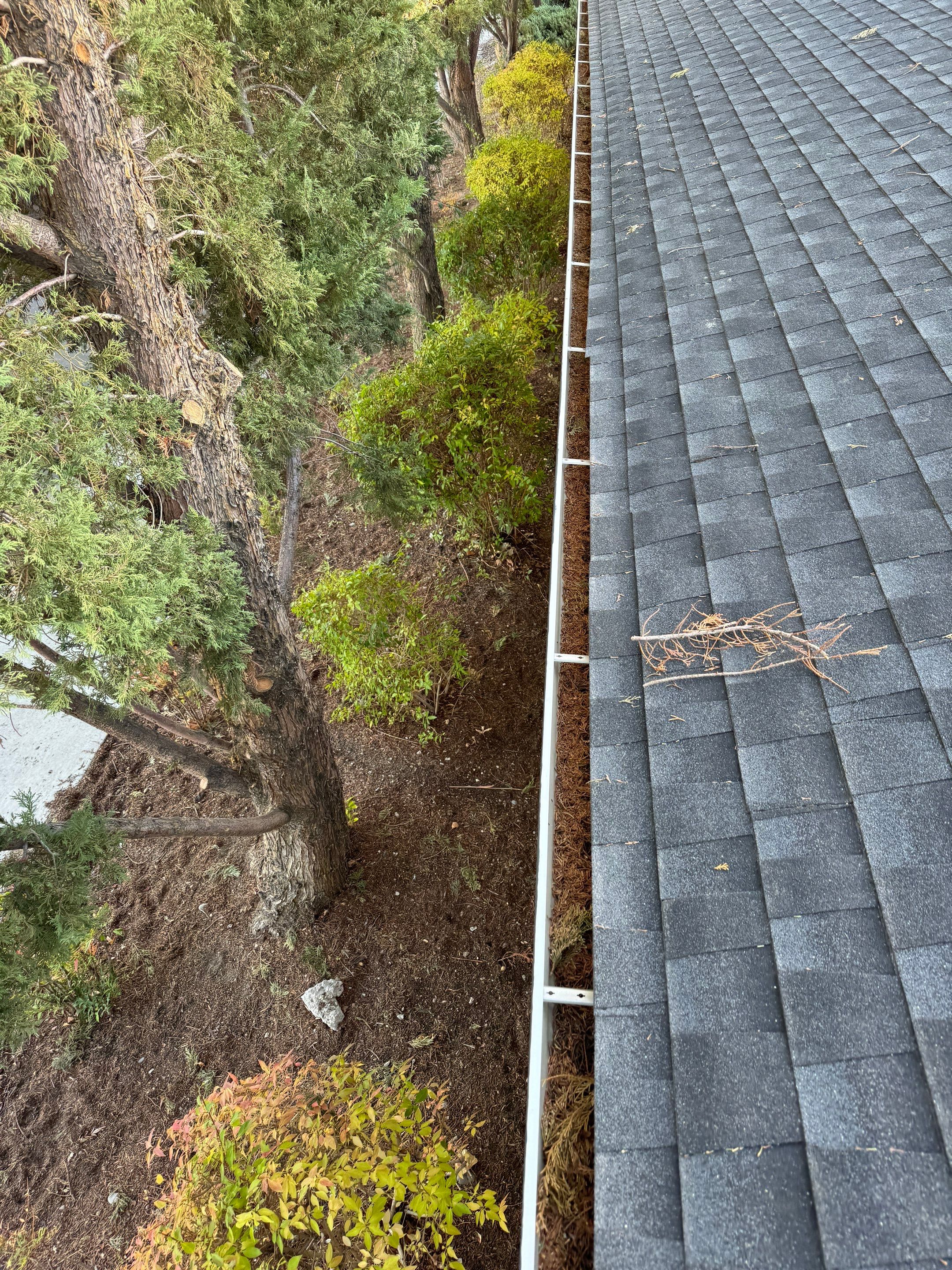 Commercial gutter cleaning Sparks, NV before photo with filled gutters