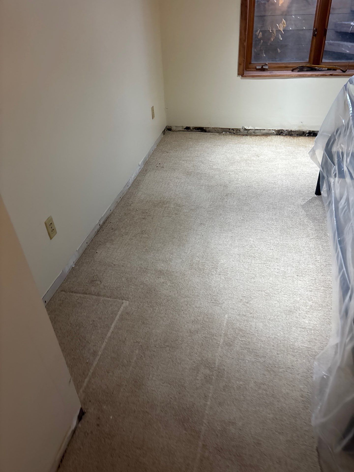 Completing the Connection for Lisa's Drain Tile System by Waterproofing Northeast