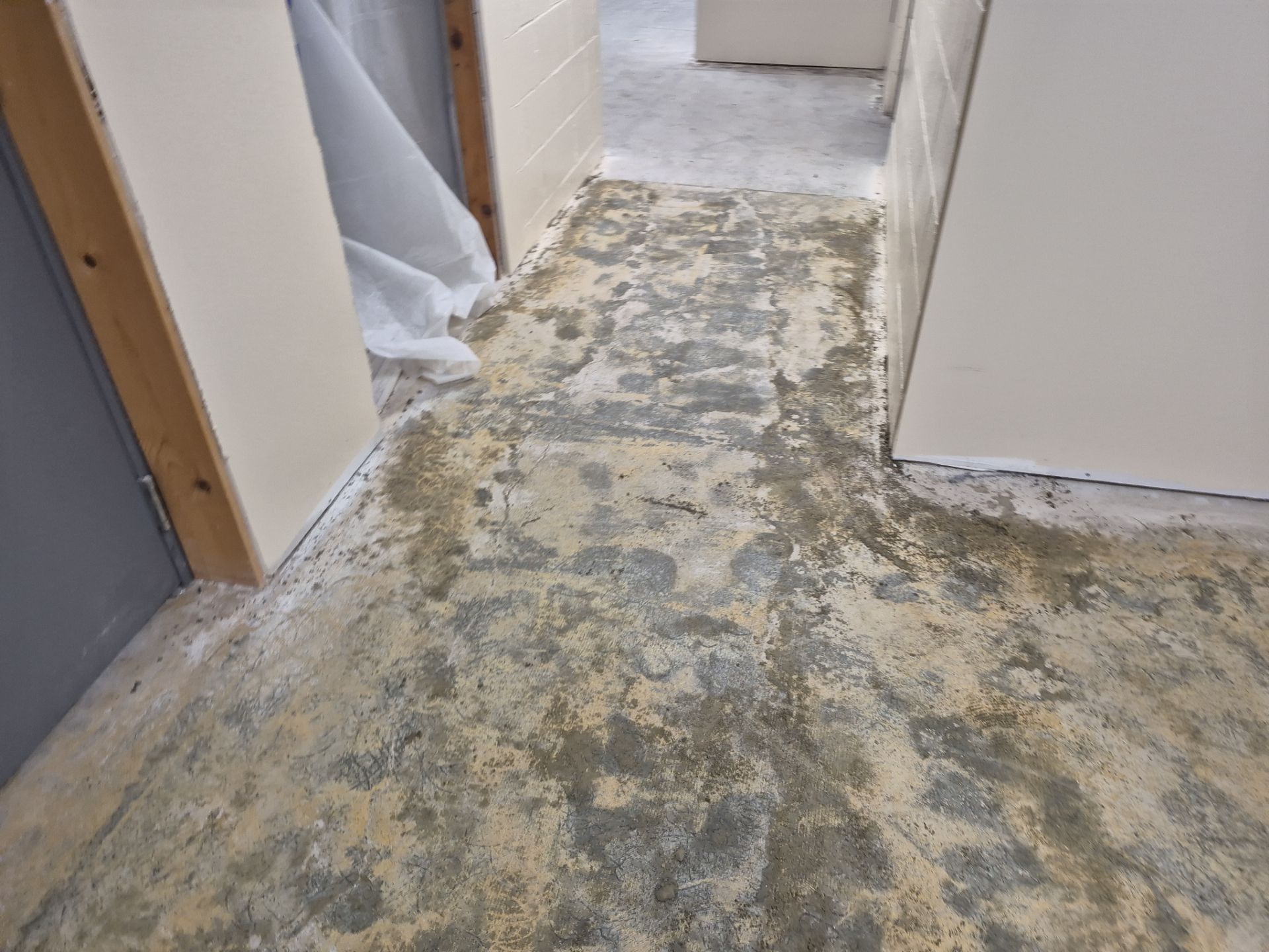 Project in Maple Rapids by Wise Coatings of Central Michigan