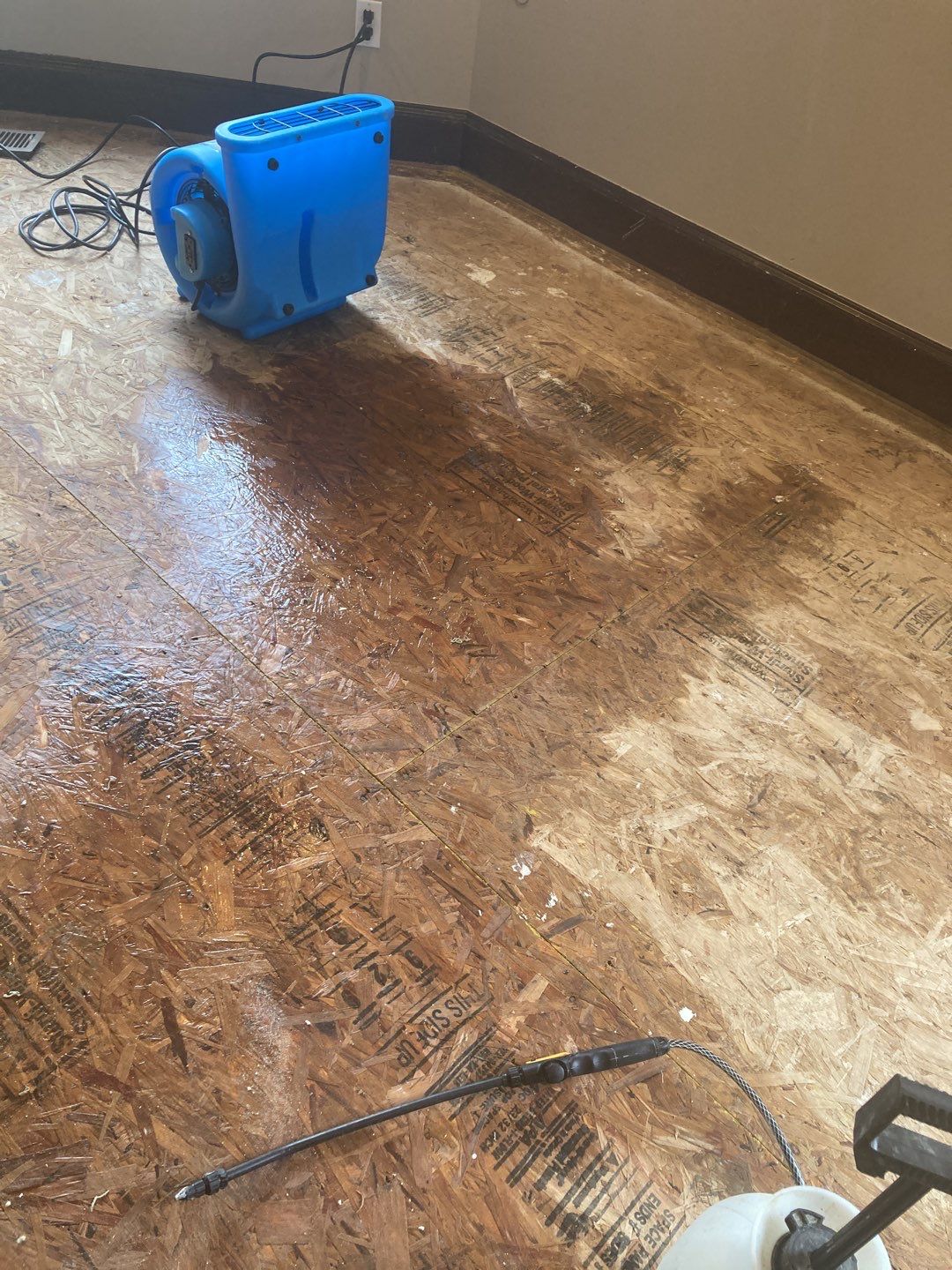 Water Damage Throughout Main Floor, Basement, and Crawl Space by Accountable Home Services