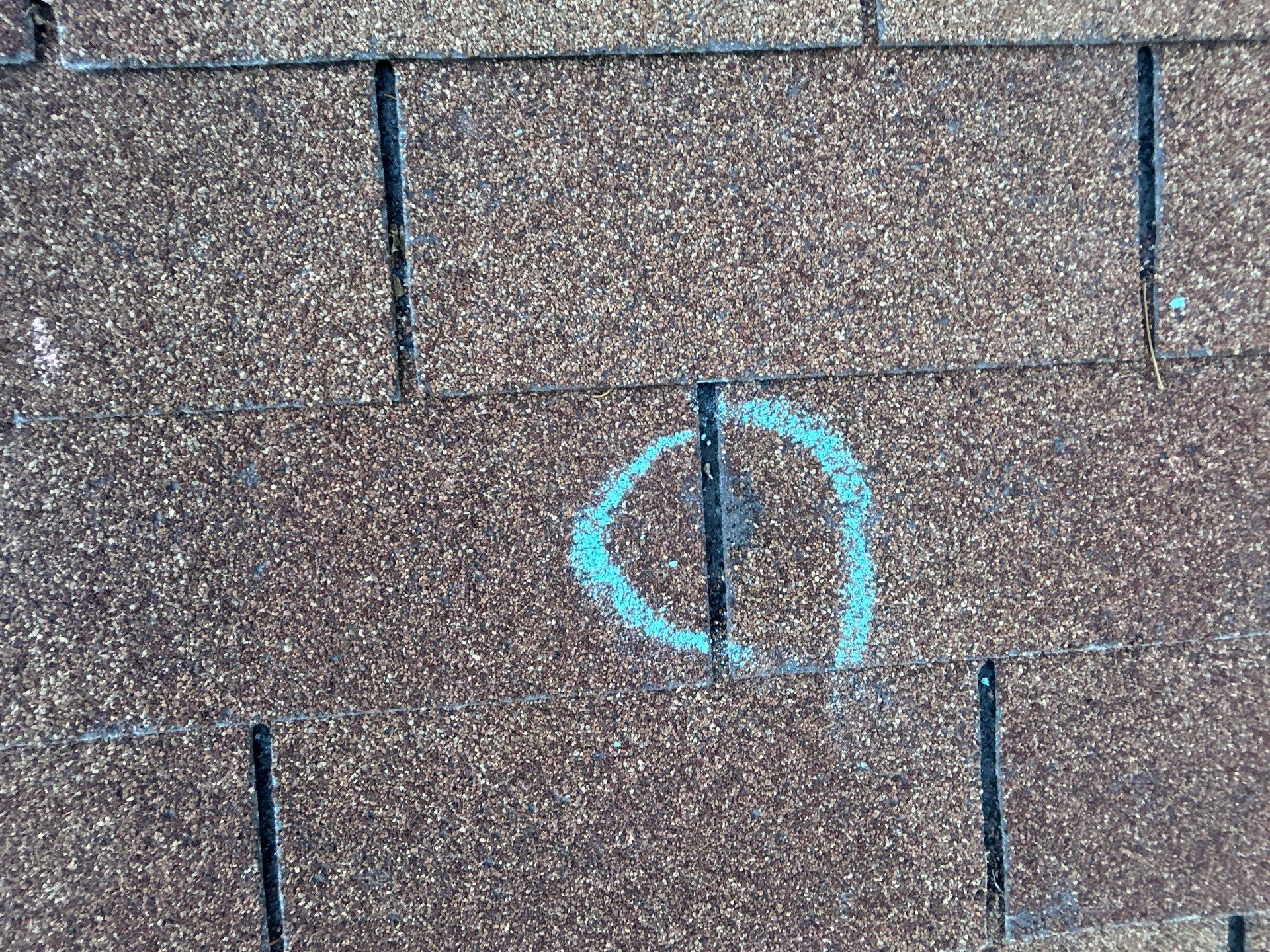 [Almost] All Trades by REPS Austin Area Roofer