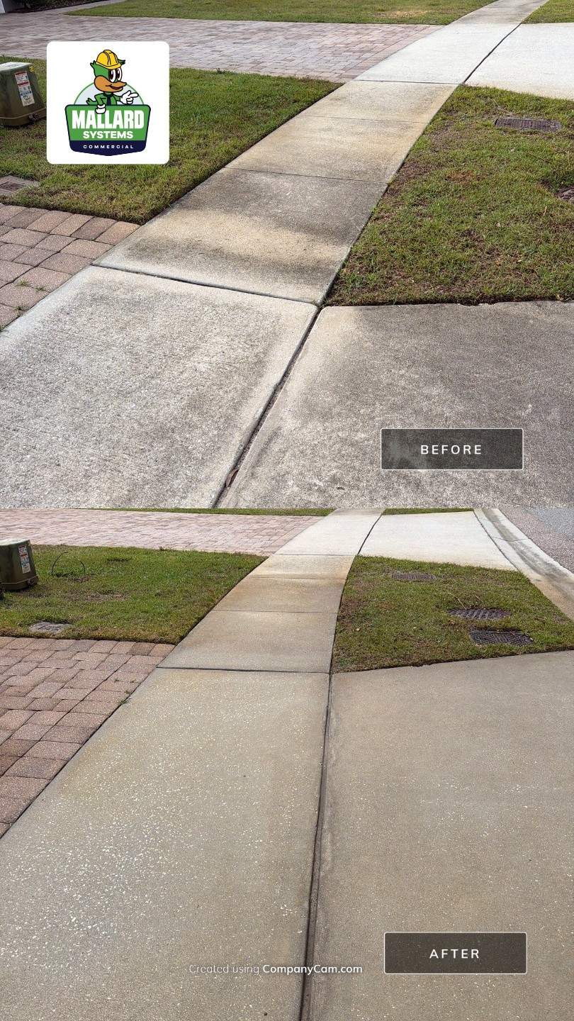Barrel Tile Roof Cleaning & Paver Driveway Cleaning by Mallard Systems