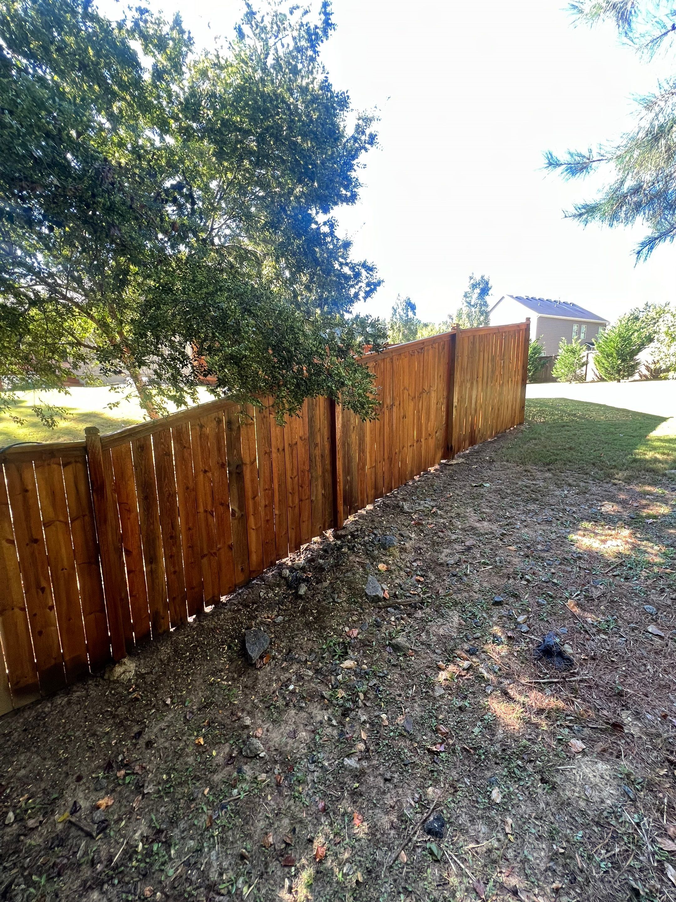 Fence Staining using Pecan by SSE by Titans of Timber Fence & Stain