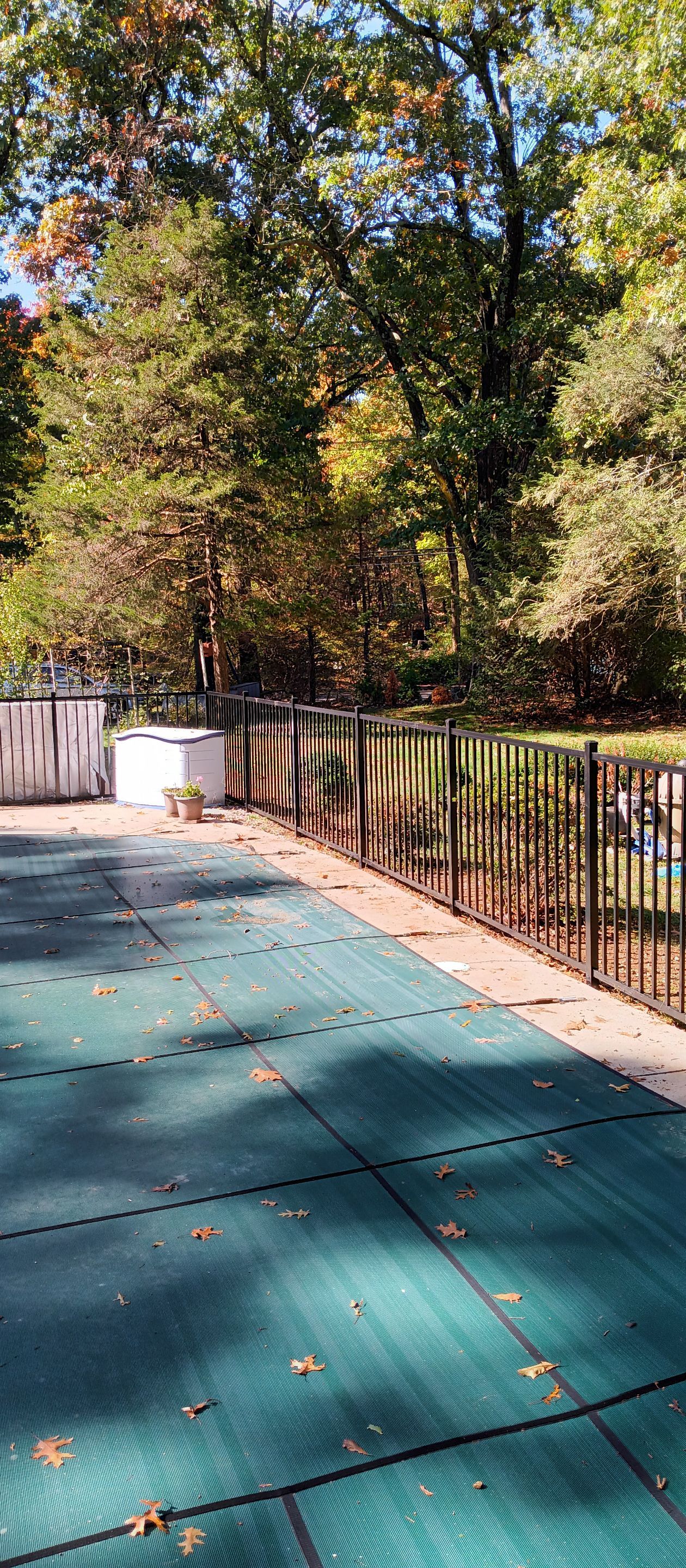 Replacement Aluminum pool fence with matching gate in Black by DiGiorgi Roofing and Siding Inc