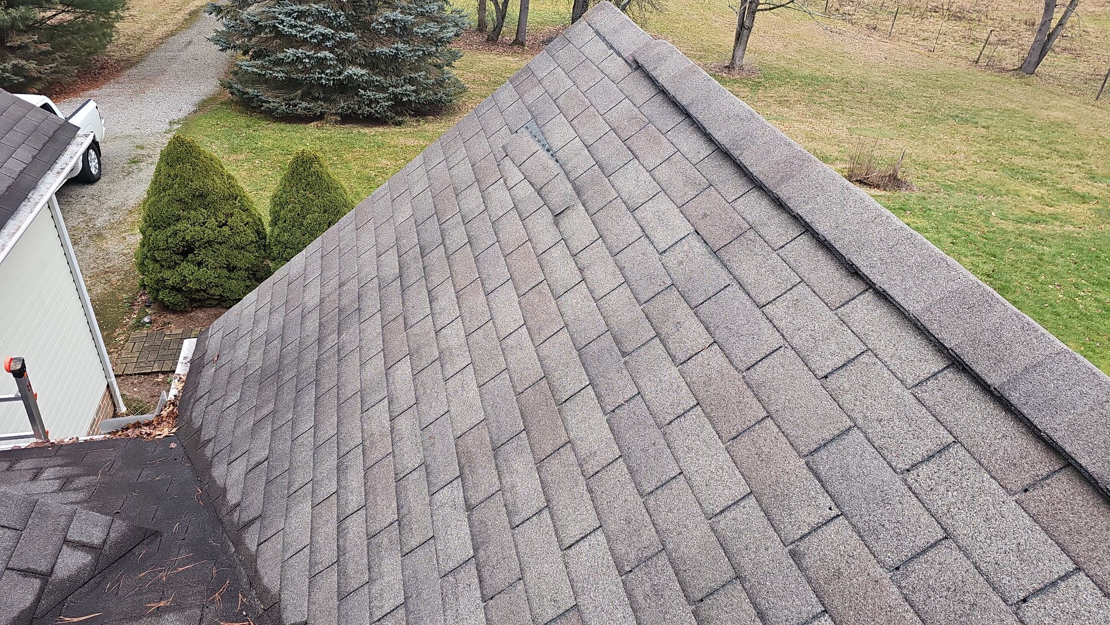 Alpha Rib, Color: Forest Green by Eagle Eye Roofing