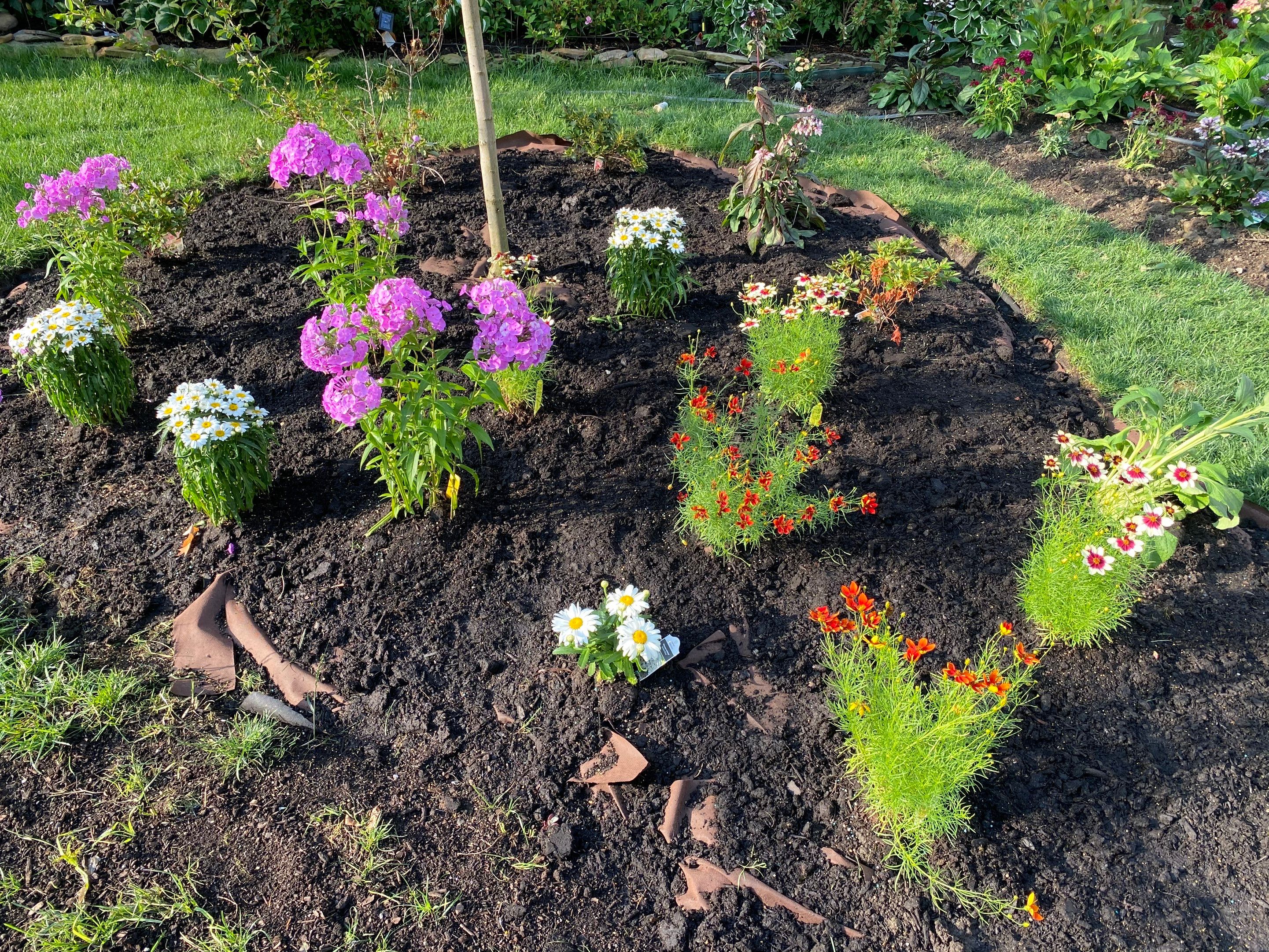 Woodland Island Project by Elm Rose Gardens