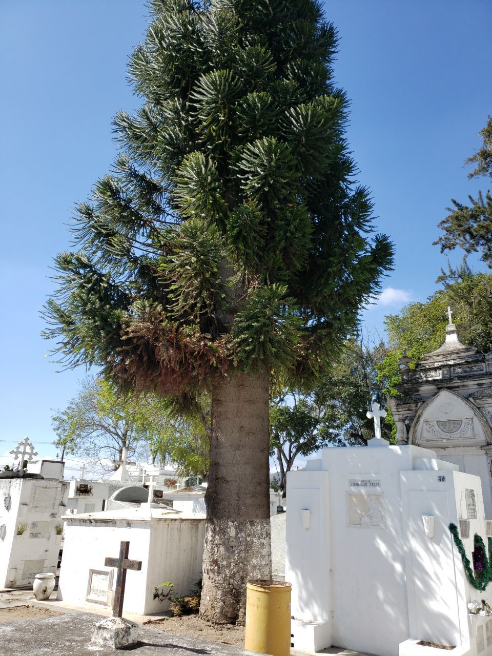Holiday visit to Guatamala by Power Wash Masters LLC