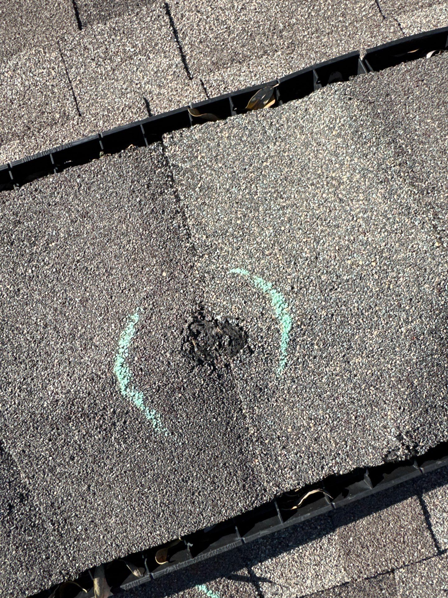 Debbie T by Boss Hogg Roofing