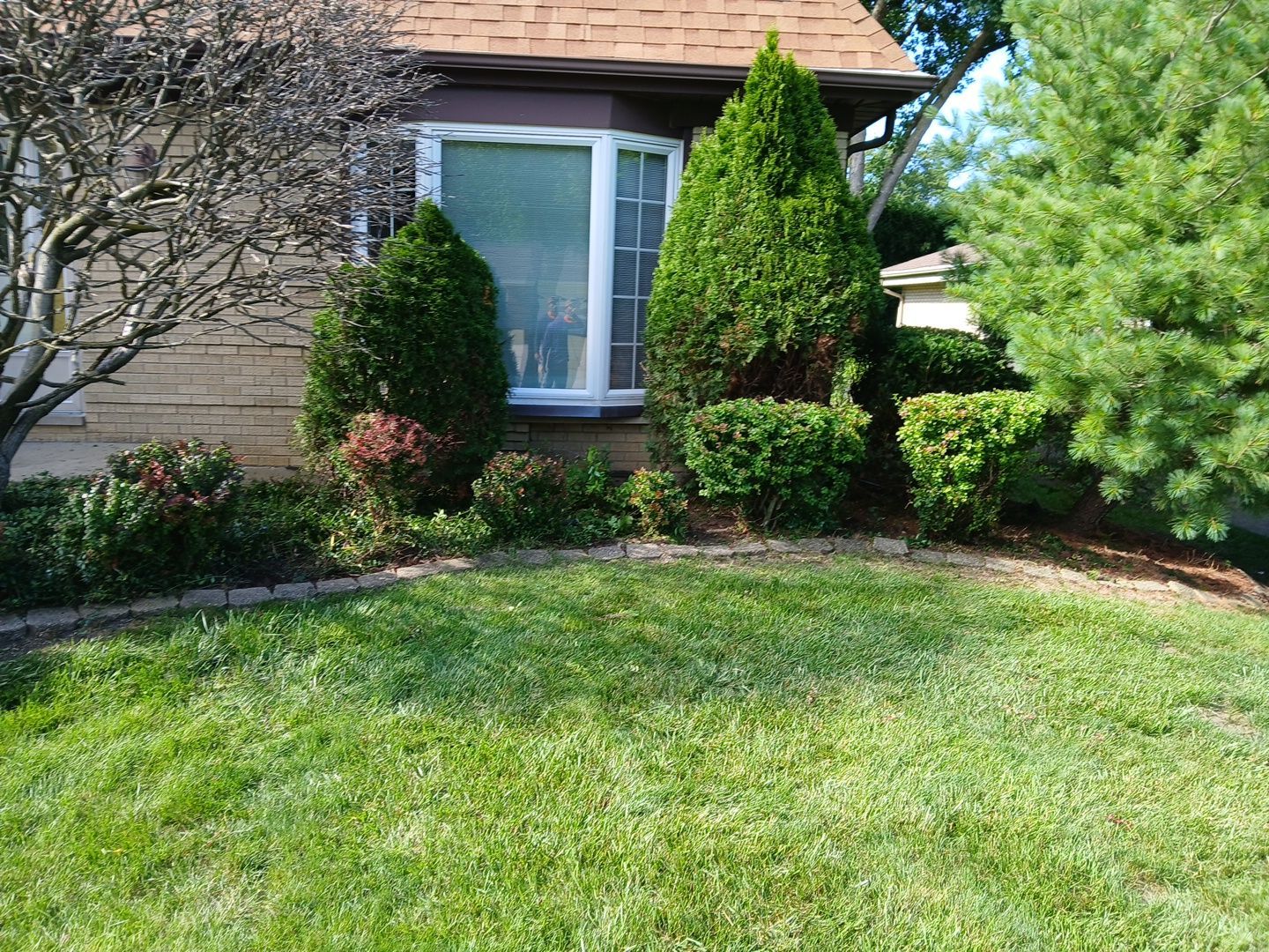 Andrew L. - Arlington Heights, IL by A&N