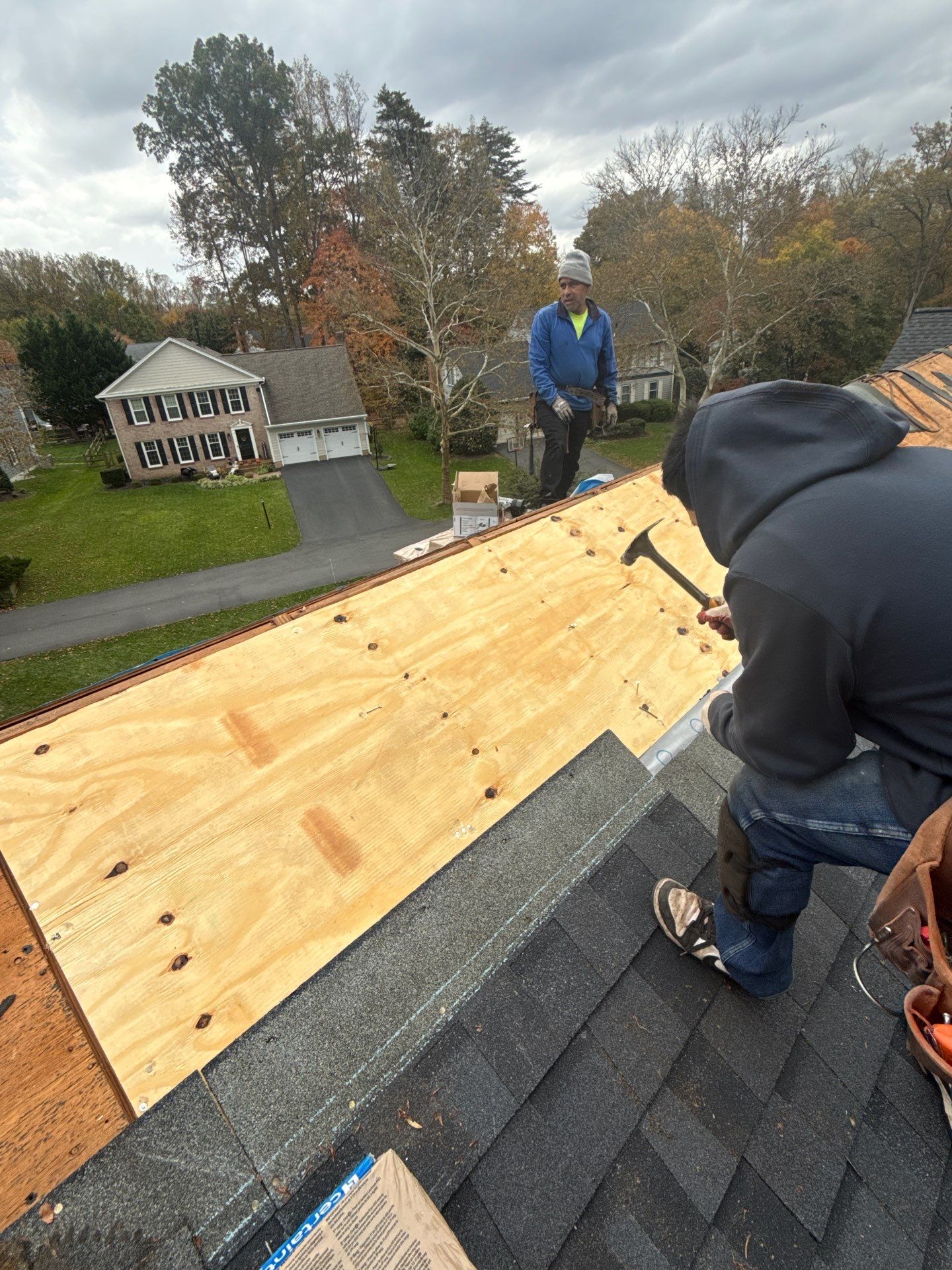 Alexandria :Residential Roof Replacement with CertainTeed Landmark Pro in Max Def Moire Black  by RM Banning, Inc.