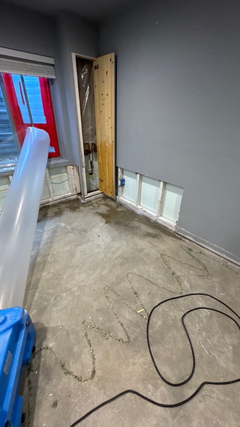 Mold Project in Thornton by Accountable Home Services