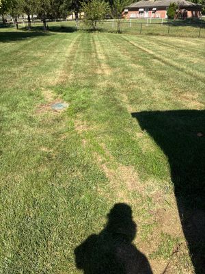 Buried Downspout Extensions