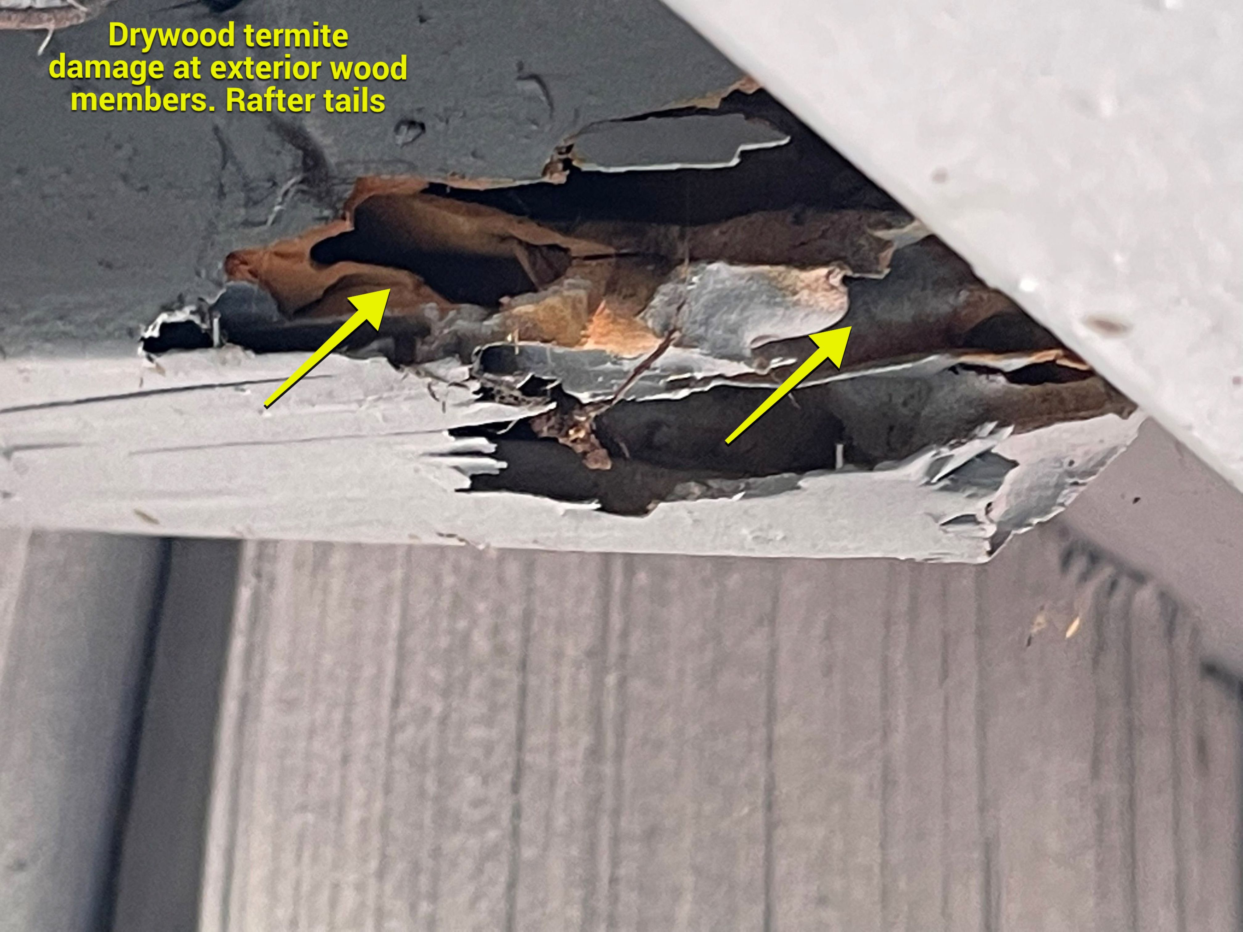 Wood Destroying Organisms Report by GLOBAL Termite Solutions