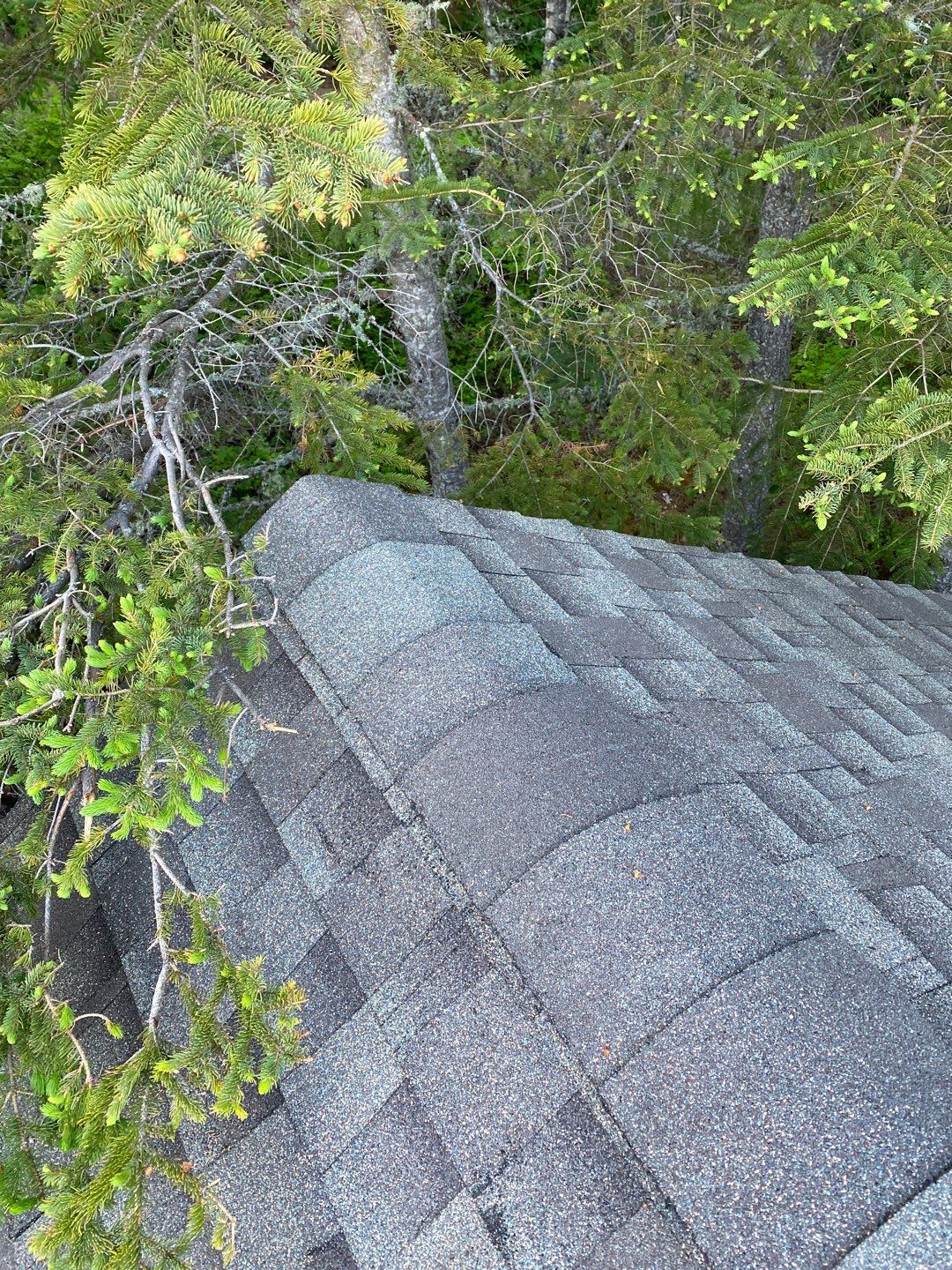 North Shore Roof Replacement by Rhino Roofing LLC