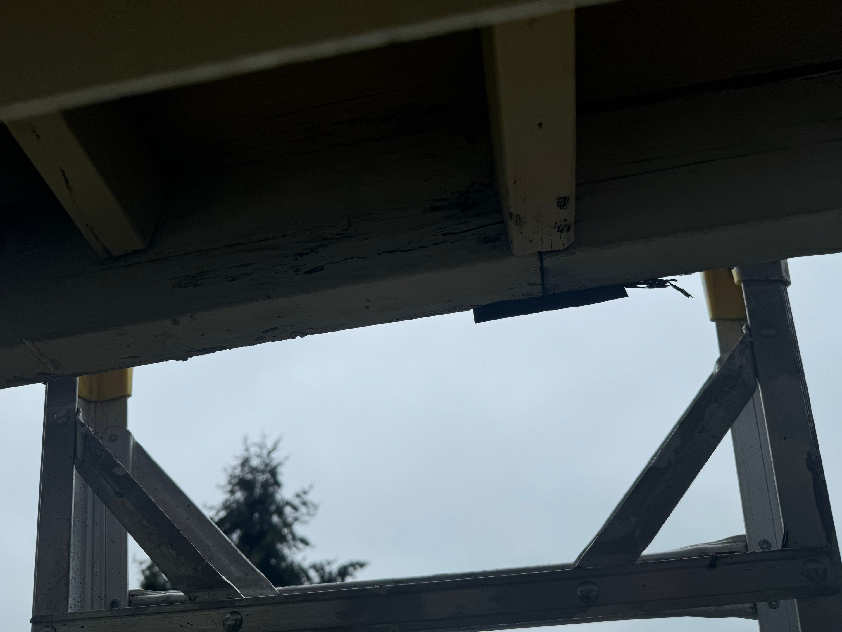 Exterior Window Trim Painting In North Vancouver  by YVR Construction Group
