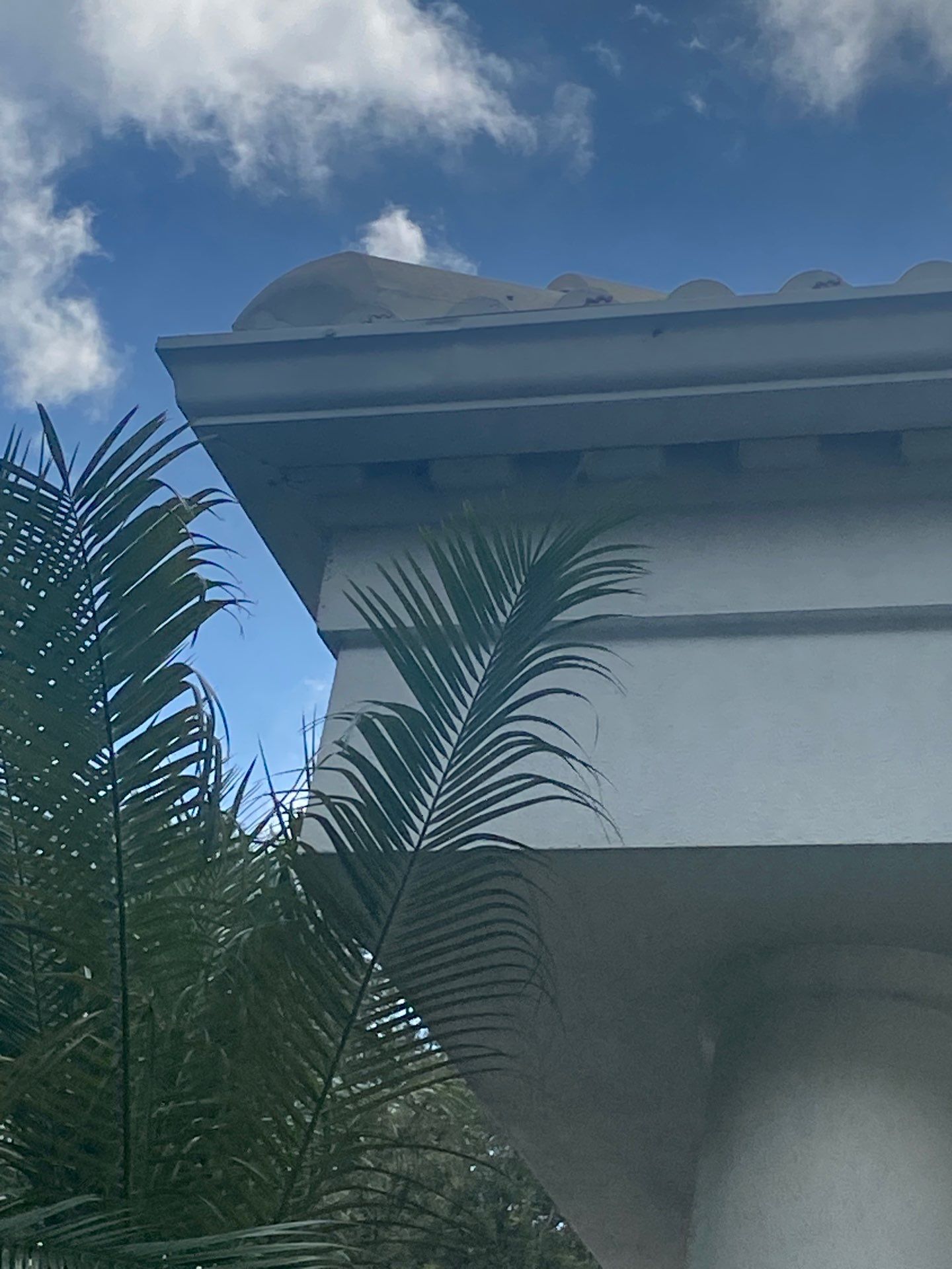 Leaf Guard using Gutter Guards for Florida Home by Gutter Professors