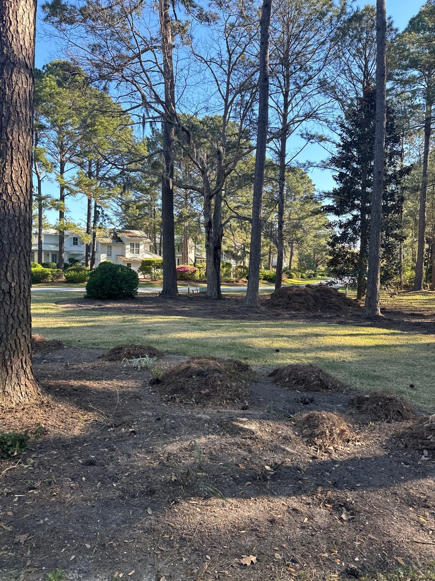 Comprehensive Landscape Design and Custom Hardscape Installation in Bluffton by Lowcountry Scapes, LLC