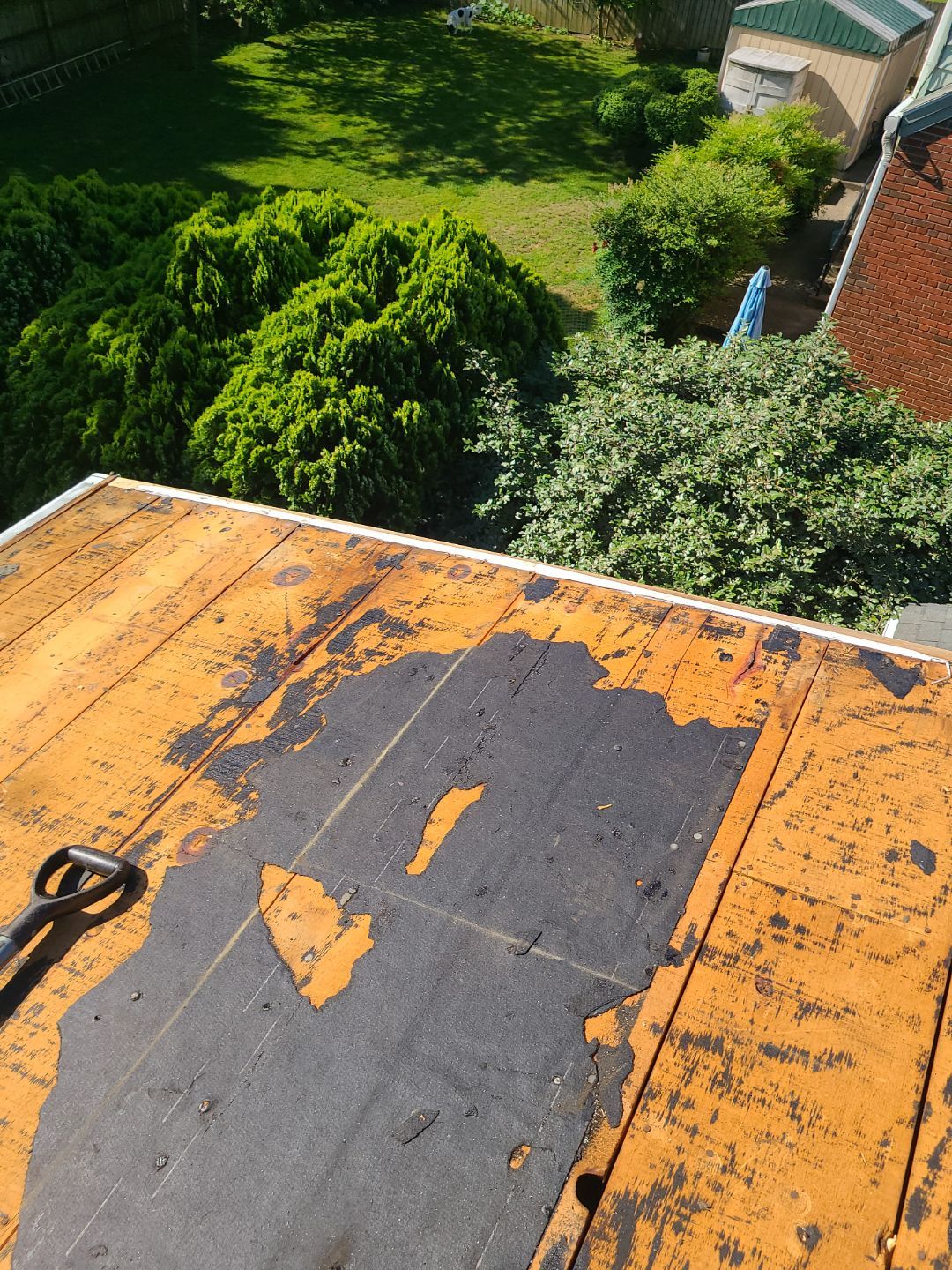 Alexandria: Mule Hide TPO Flat Roof by RM Banning, Inc.