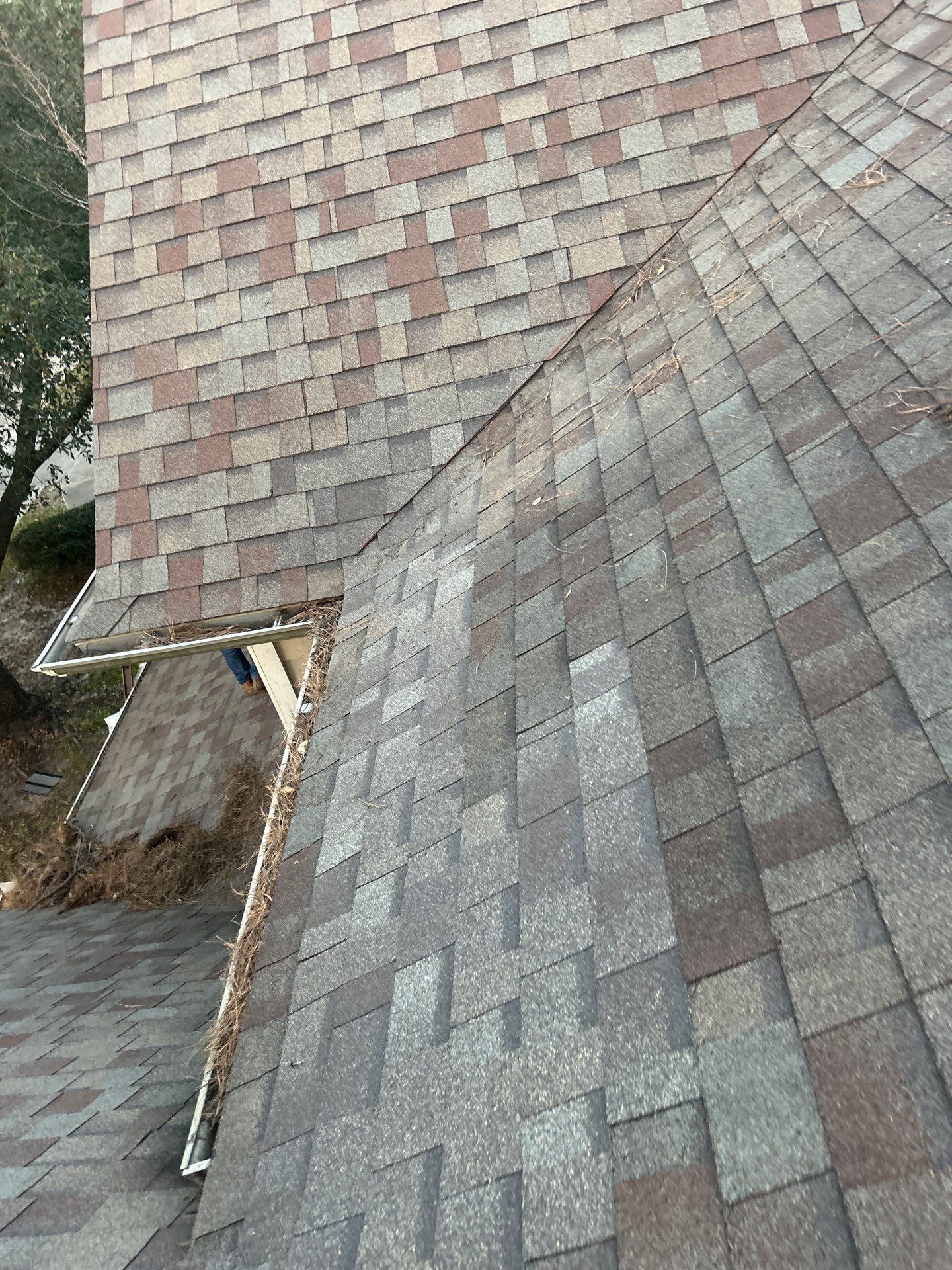 Roof Repair Spring by Roof Repair Company