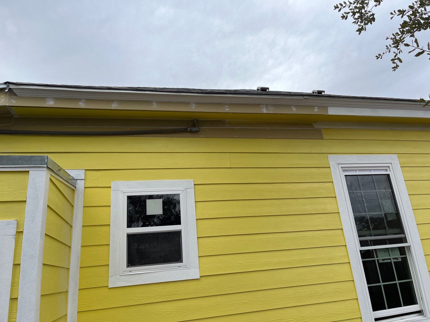 Olive you a Lot! by Bayfront Roofing and Construction