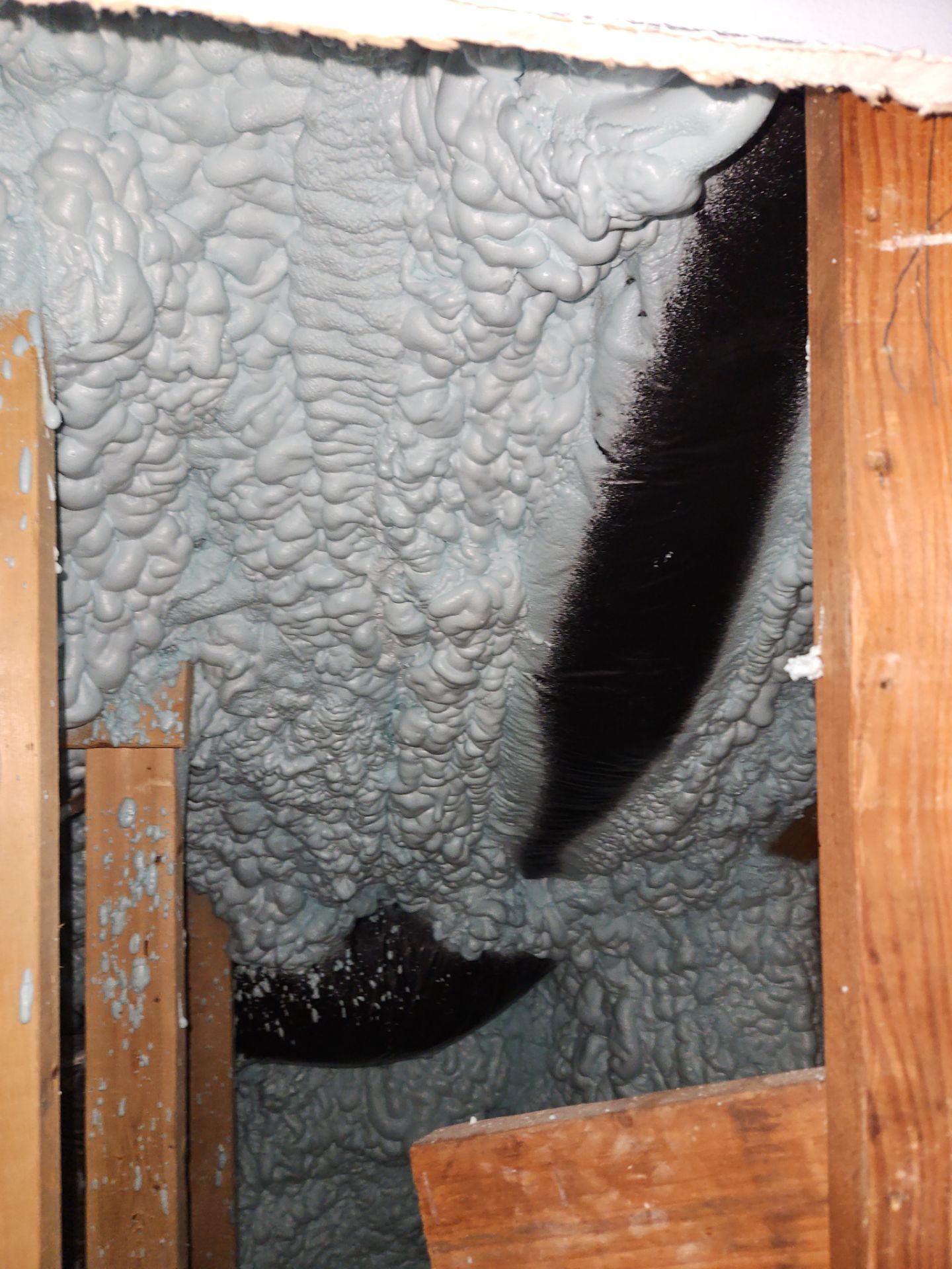 Project in Alexandria, VA by Founders Insulation