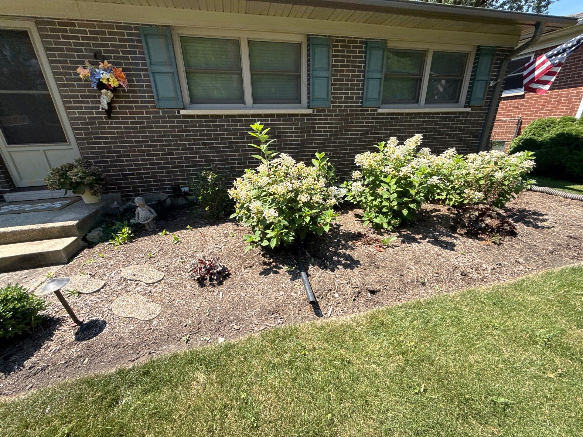 Gina K. - Mount Prospect, IL by A&N 
