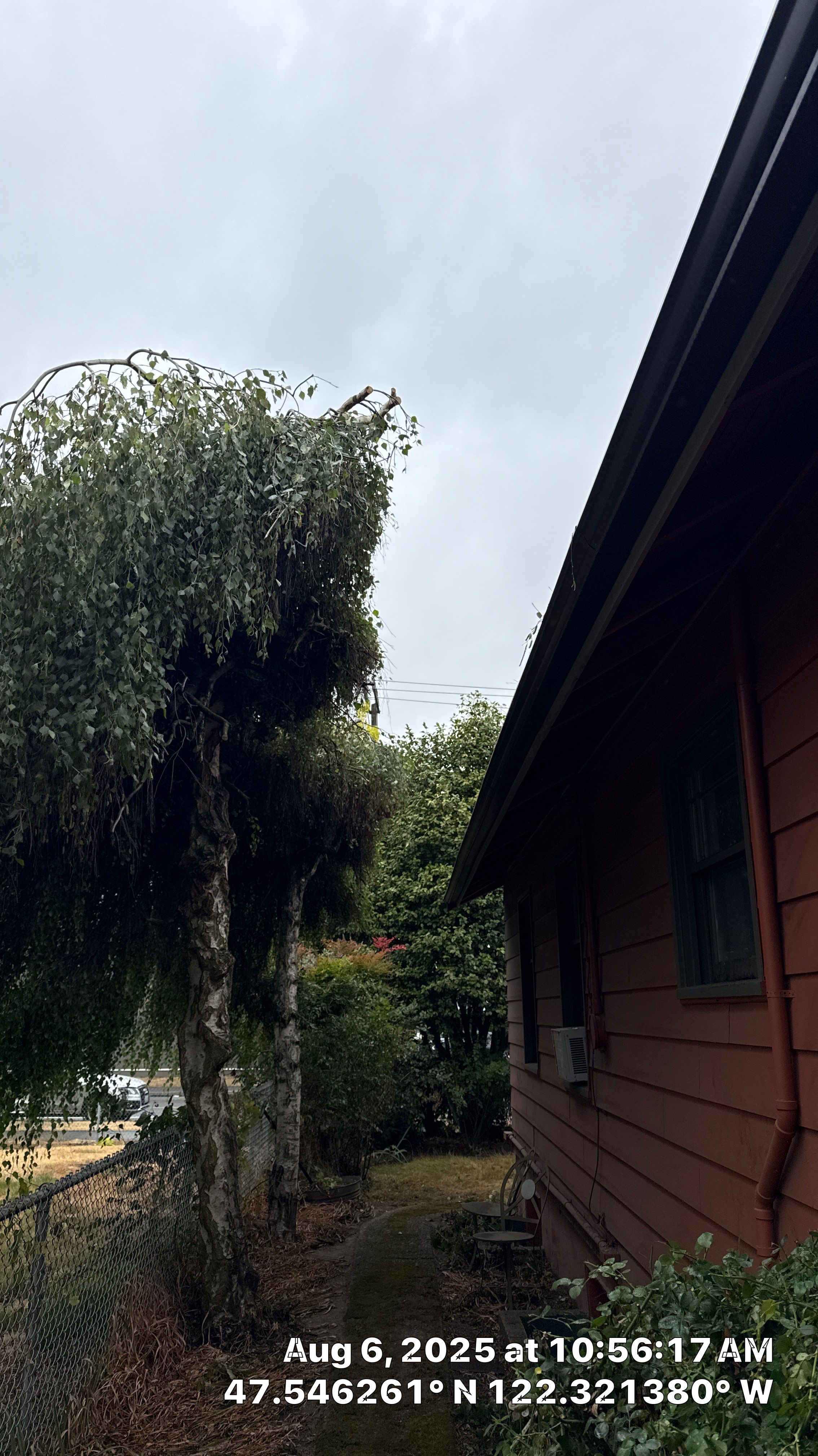 ποΈ Tree Trimming for Property Manager Success ποΈ by Sound Tree Care LLC