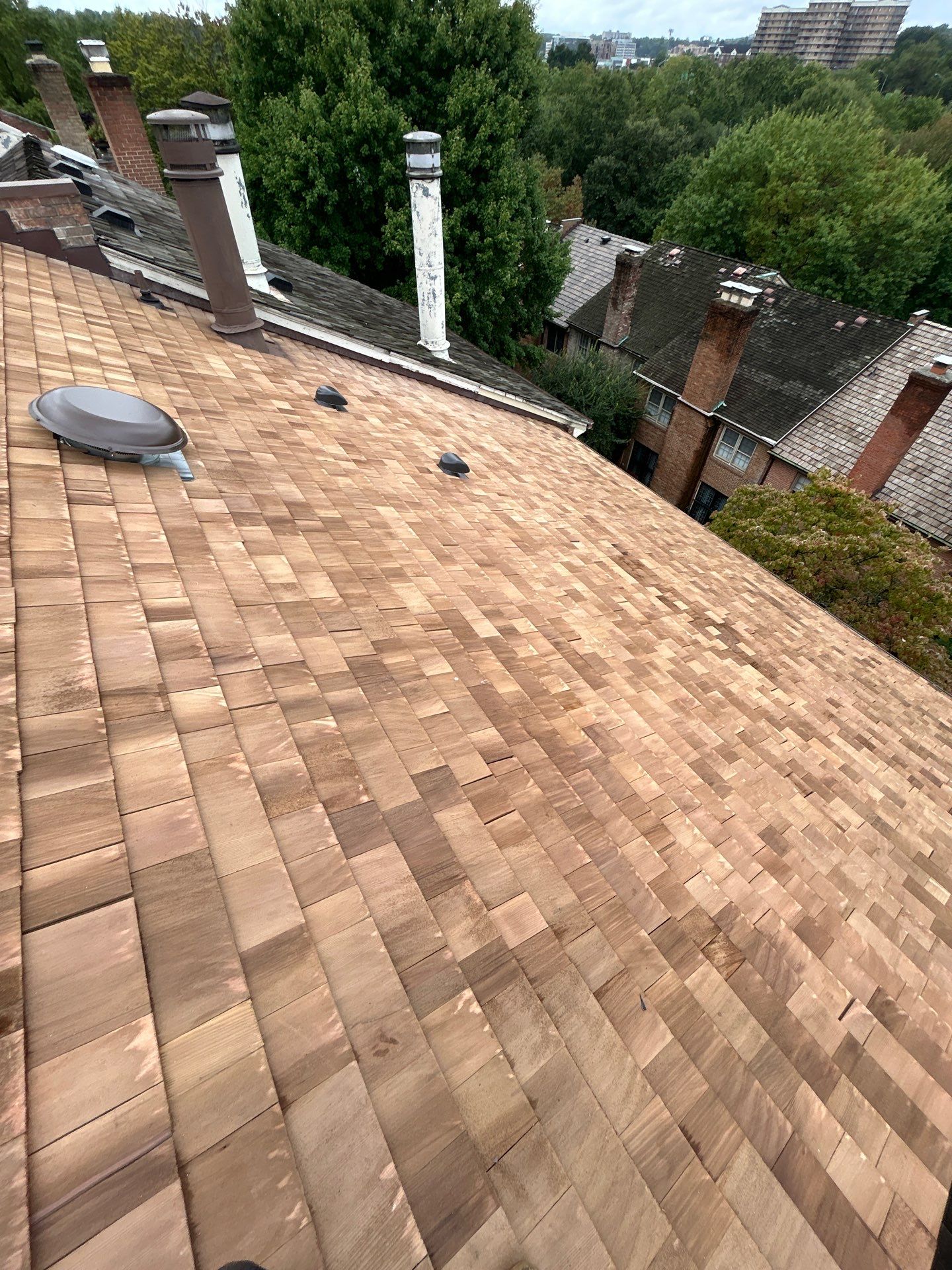 Arlington: Residential Roof Replacement with Perfection CCA-Treated Cedar Shakes by RM Banning, Inc.