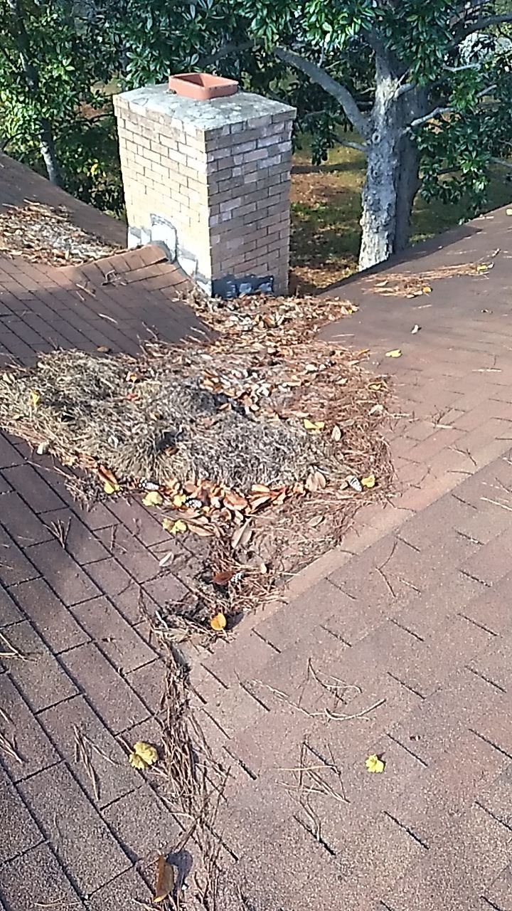 Residential Leak Repair  by Indigo State Roofing