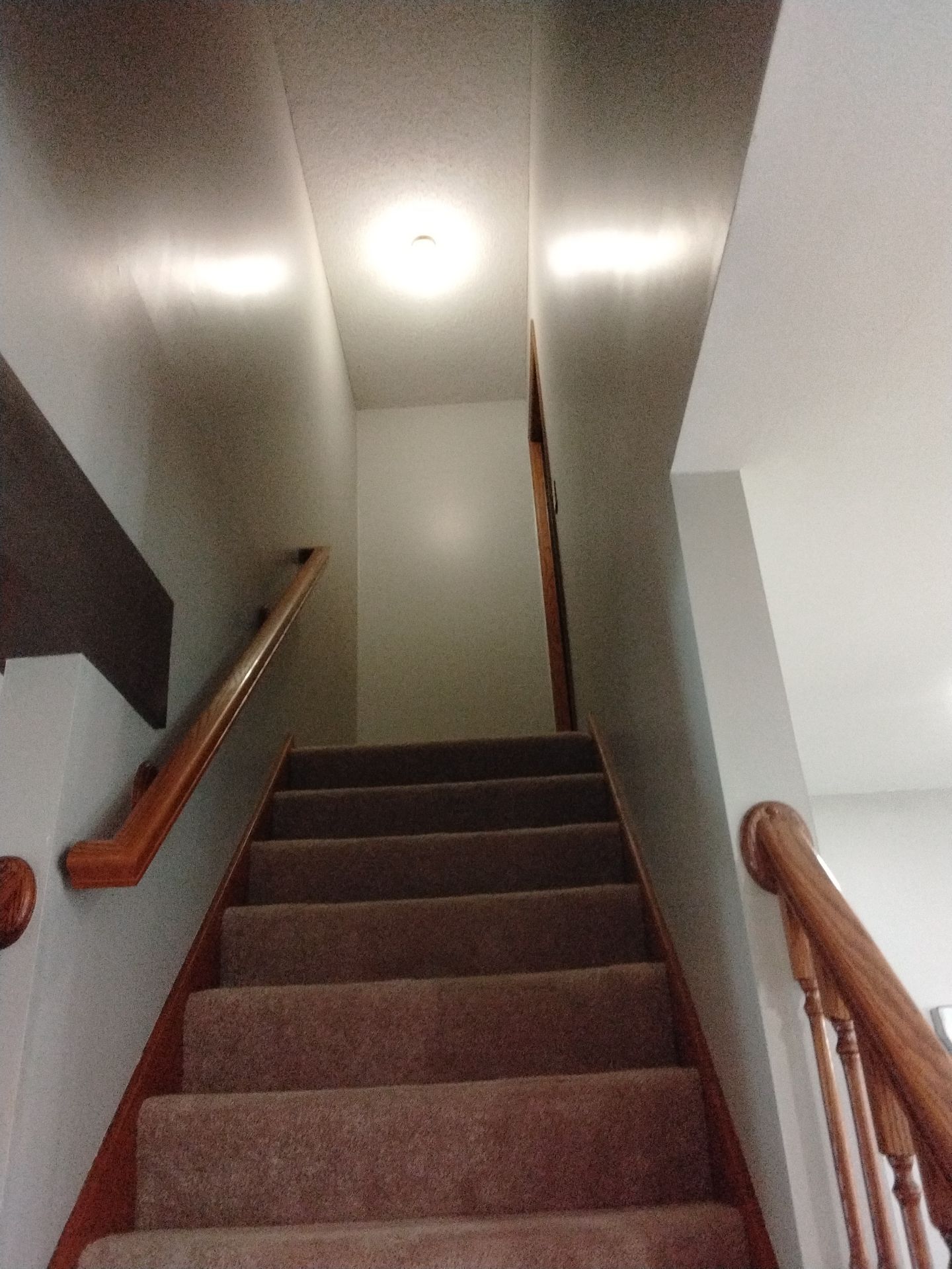 Interior Painting of walls and ceilings by Midwest Paint LLC