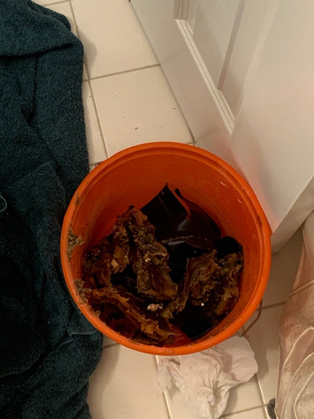 Toilet Leak Repair by A1 NERDY HOMES LLC