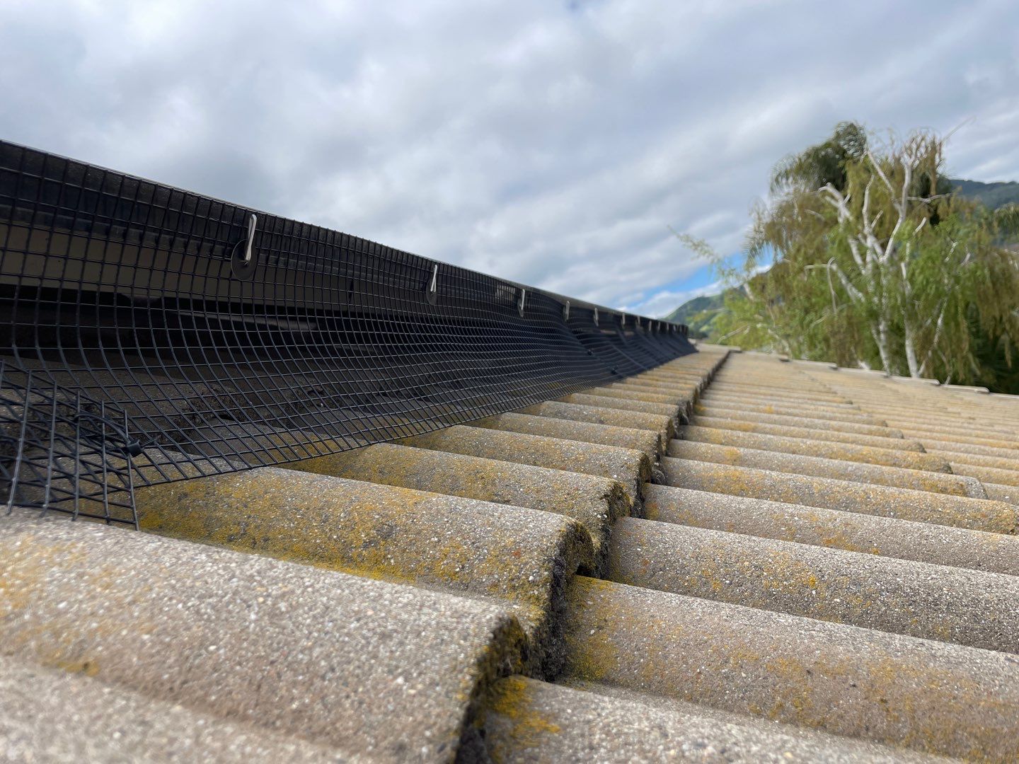 Solar Panel Bird Proofing-Morgan Hill by All One Solar Shine