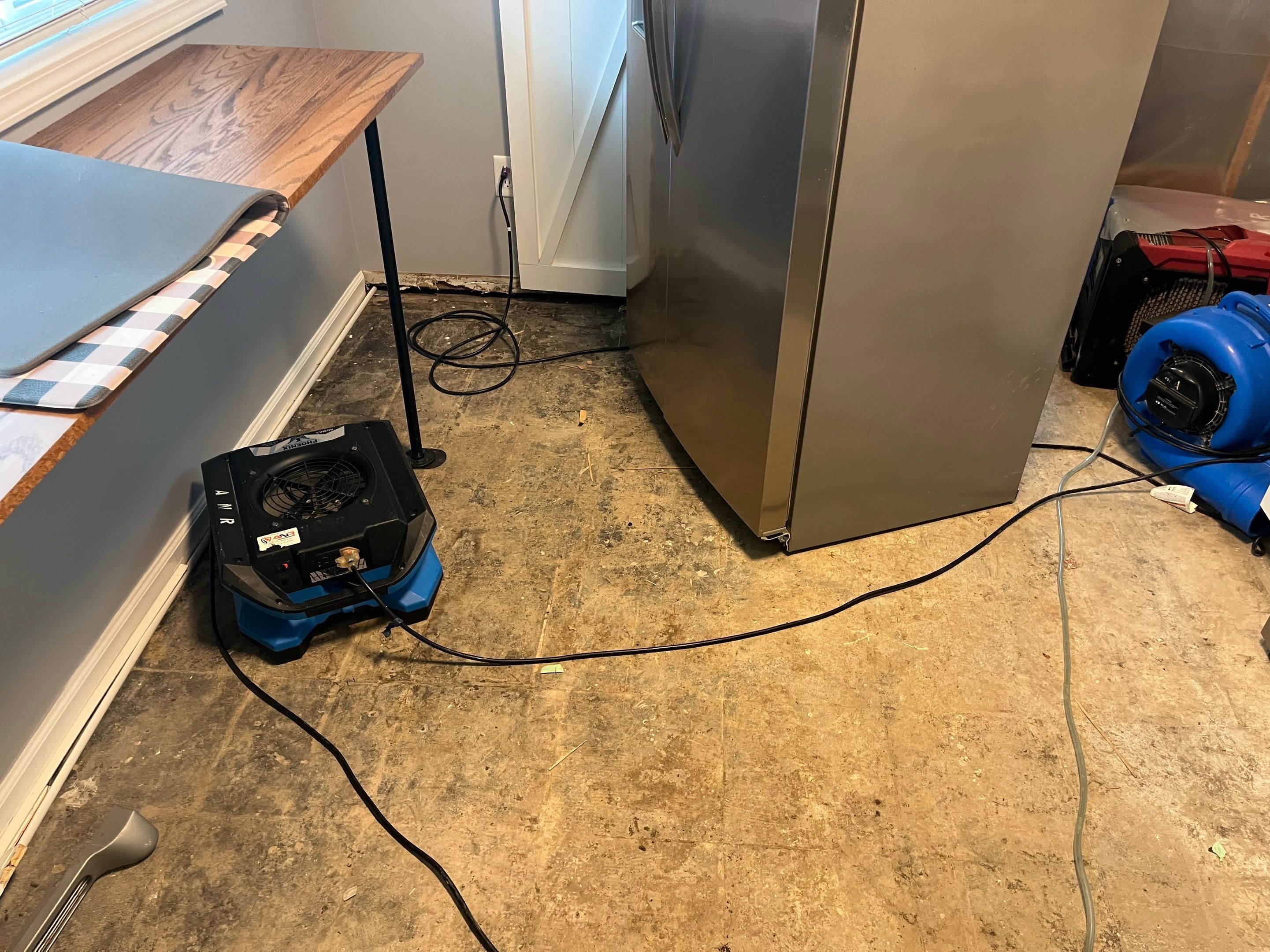 Water Damage and Visible Mold in a Home in Clarksville, IN by ANR Restoration