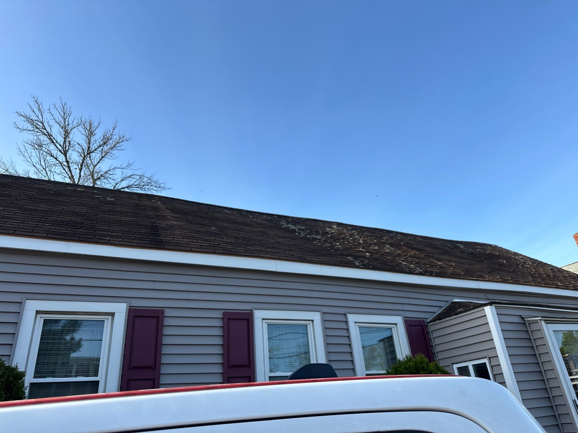 Roof Replacement with Owens Corning TruDefinition Shingles in Midnight Plum by Mighty Dog Roofing of Greater Middlesex County