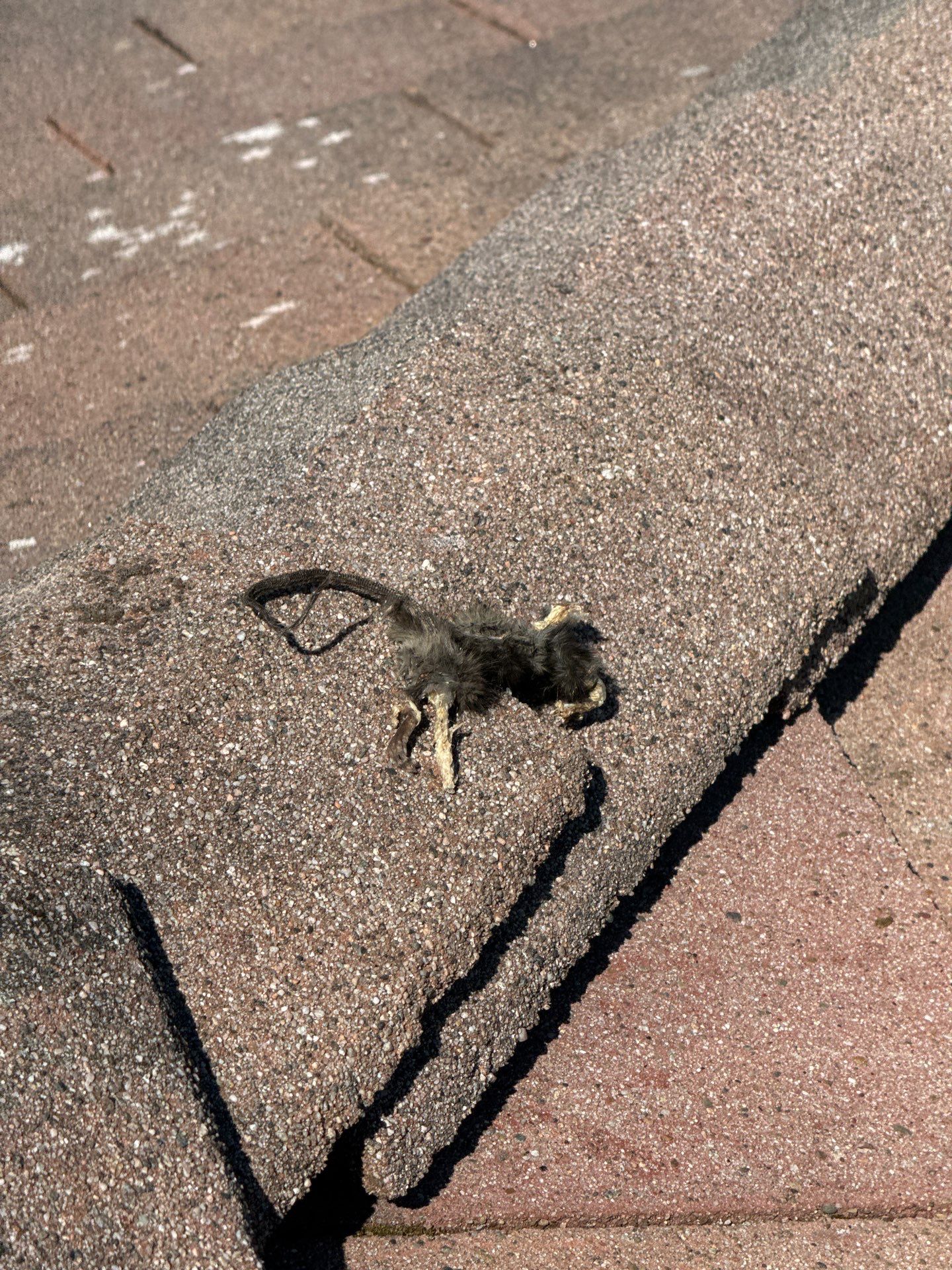 Project in Marysville by Connolly Construction Company