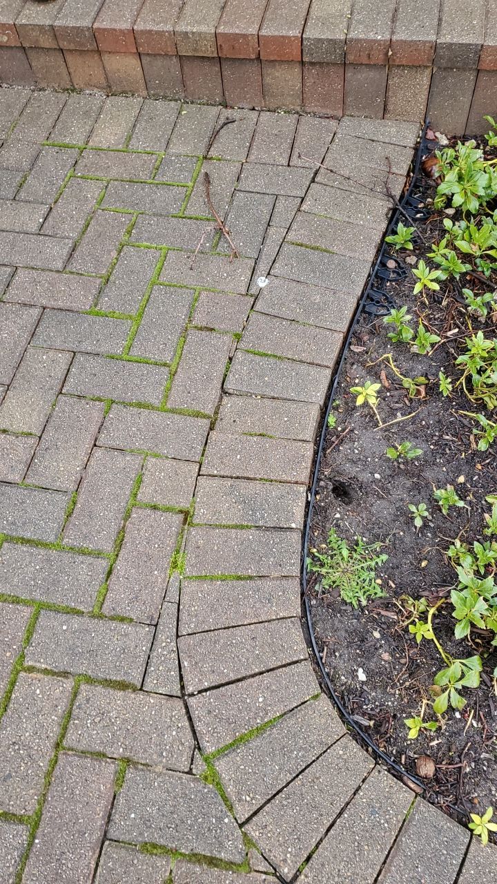 Brick paver clean, sand and seal.  using Surebond SB-1300 by Northern Power Washing LLC.