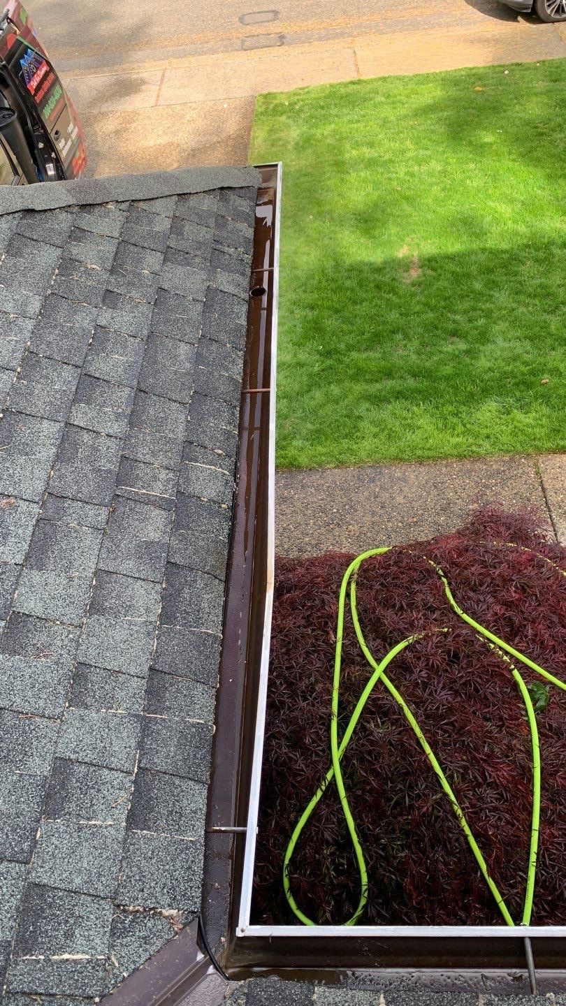 Softwashed in many Years back, and organic regrowth significant by DawnSky LLC