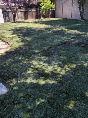 Project in San Jose