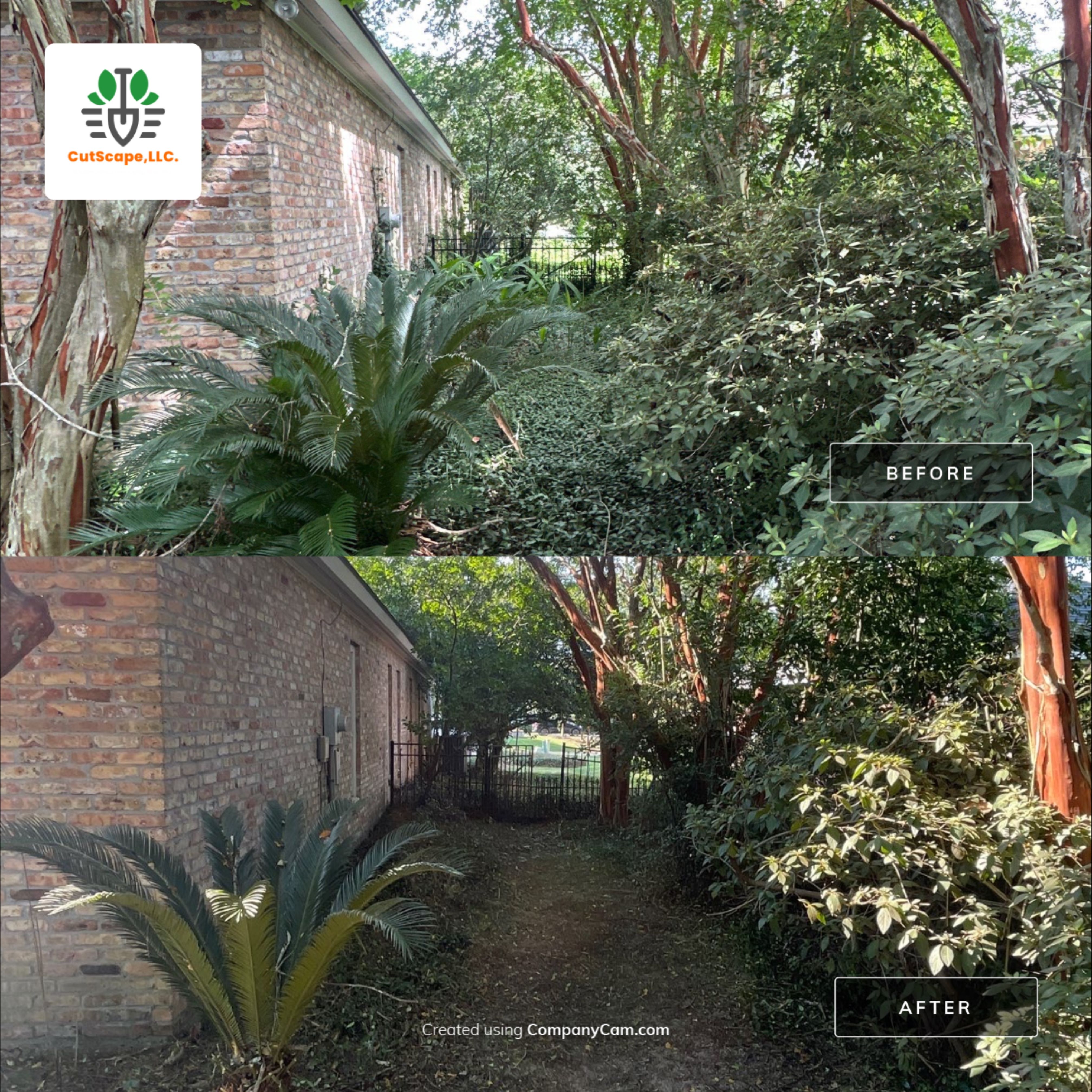LANDSCAPE SERVICES: CLEAN OUT / TRIM / BRUSH DEBRIS REMOVAL by CutScape, LLC.