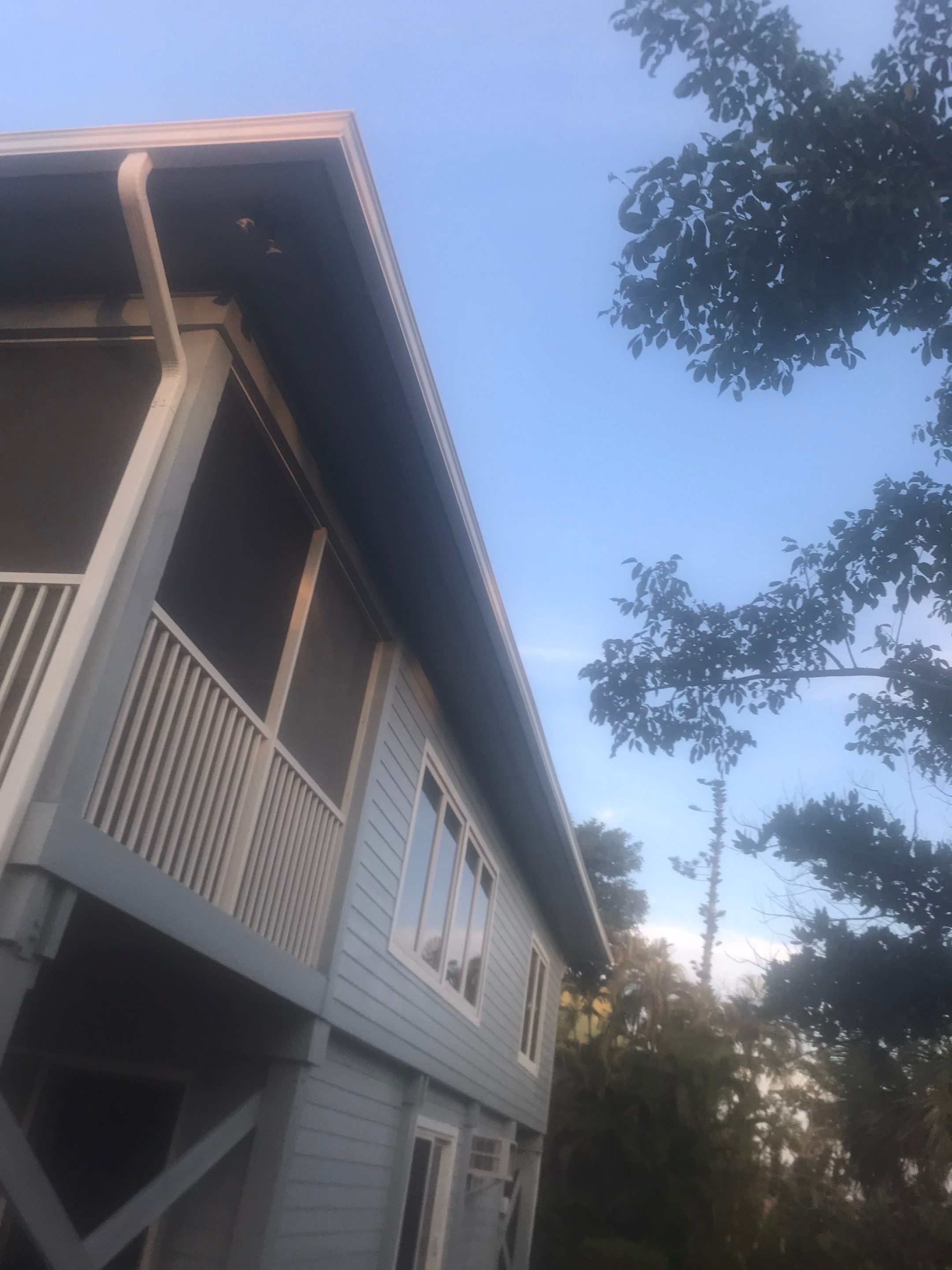 Gutters for Coastal Homes in Sanibel FL by Gutter Professors