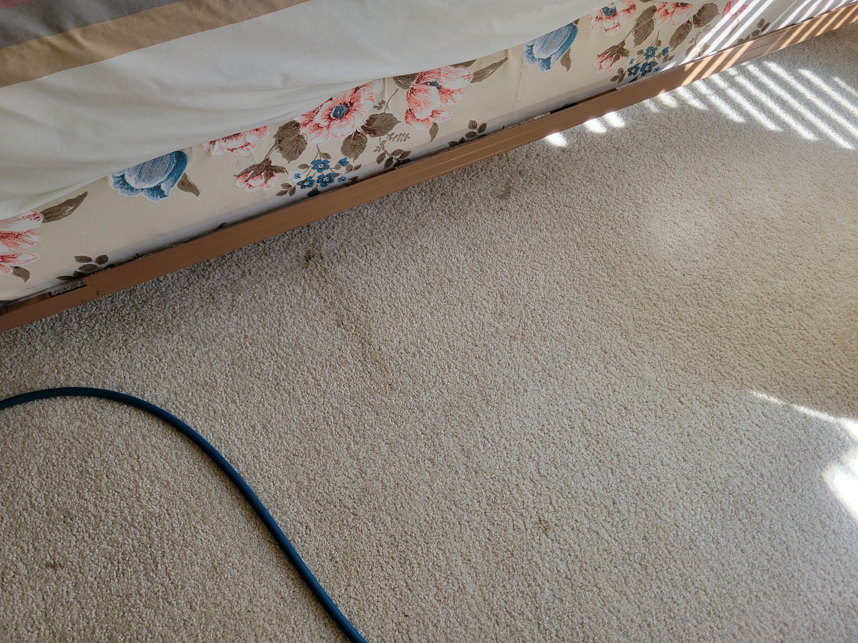 Investment Property, Carpet Cleaning by Ardent Carpet Restore LLC