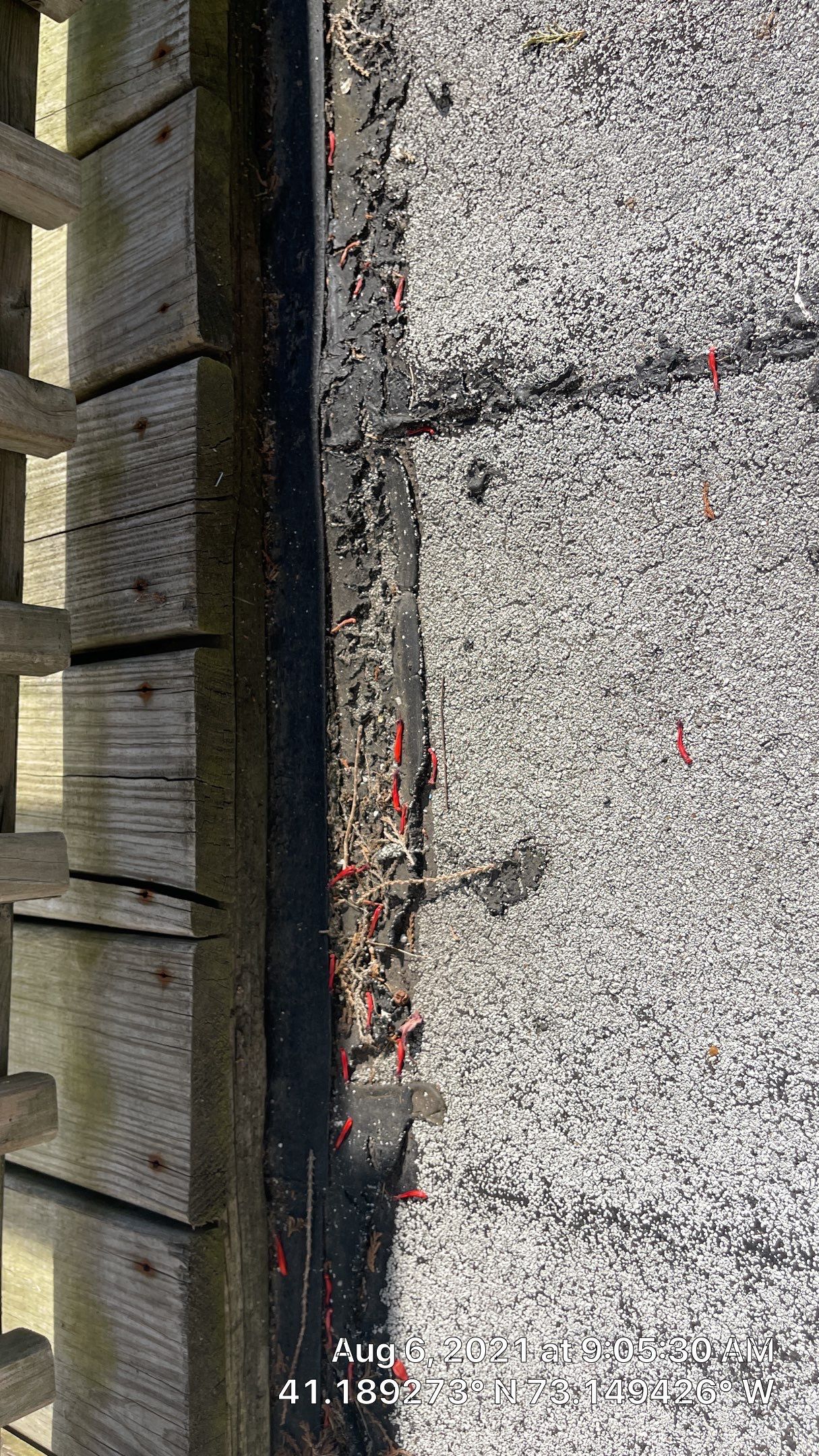 Owens Corning Duration Designer - Black Sable by A Plus Exterior