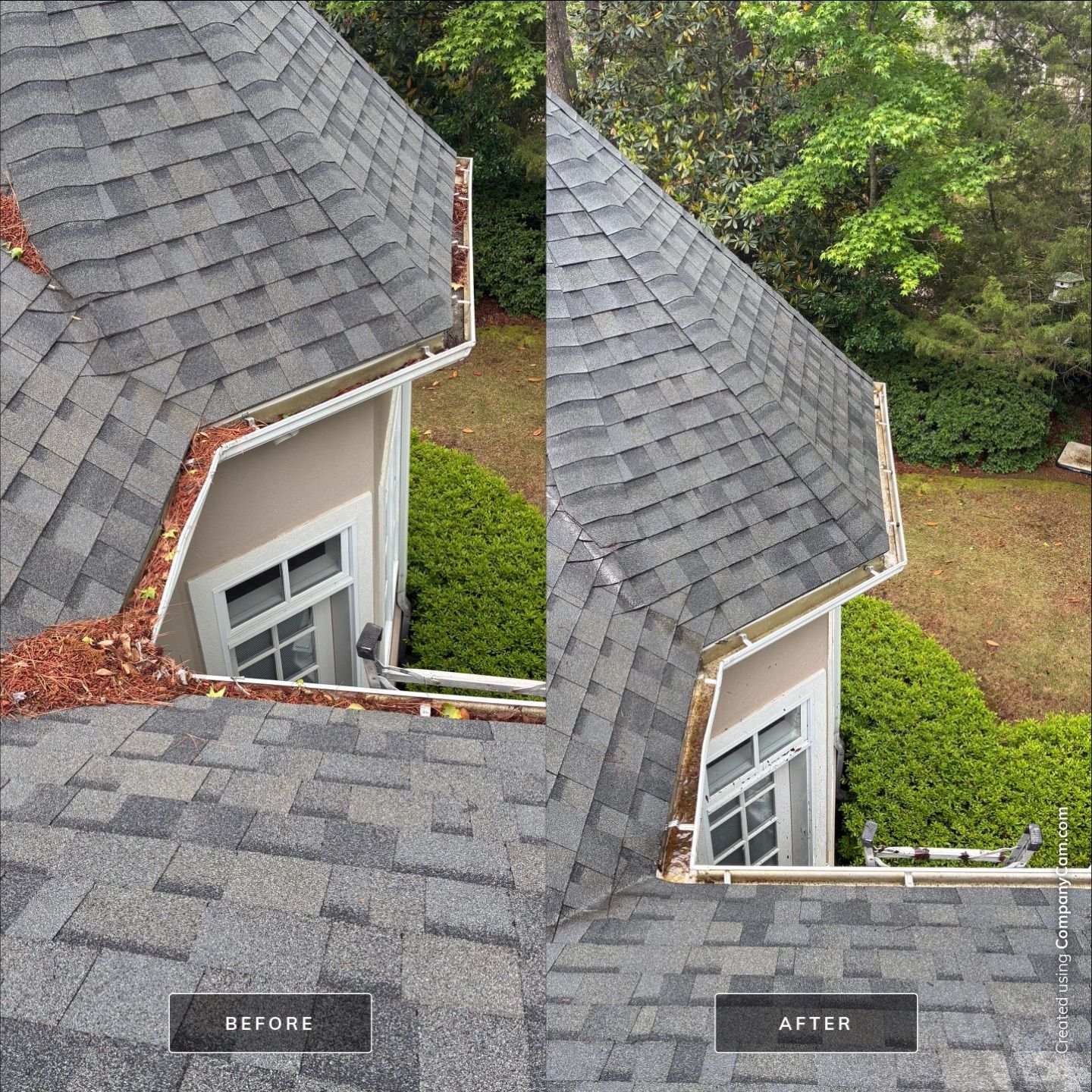 House Washing in Wilmington by Shark Power Washing