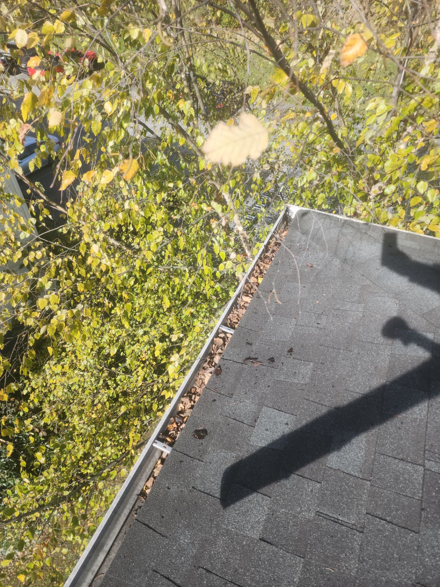 Commercial gutter cleaning Georgia before photo with filled gutters