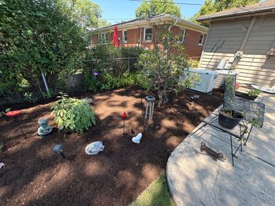 Gina K. - Mount Prospect, IL