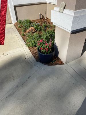 Deerwood Resident | Clean-Up and Sod