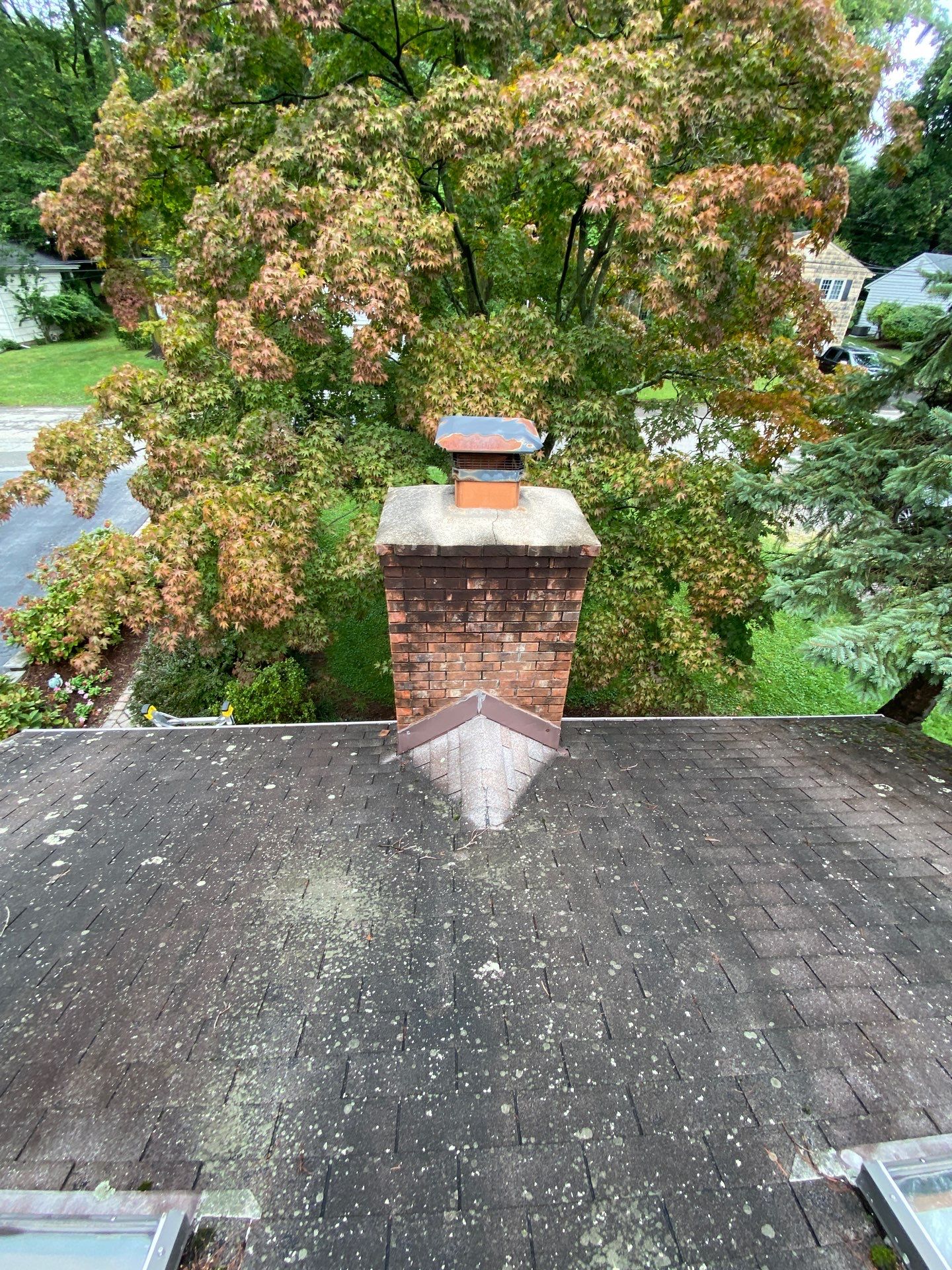 Shakewood Shingles by Reimagine Roofing