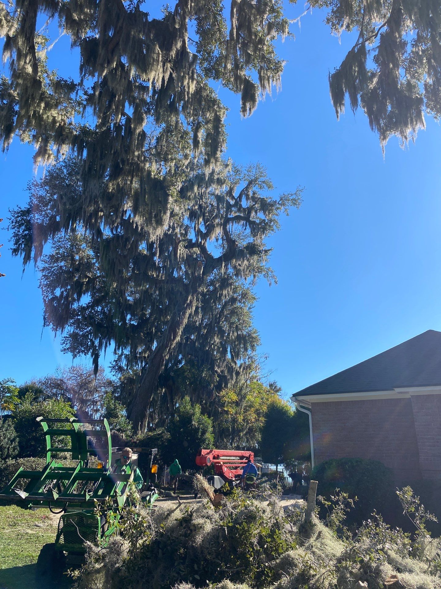 Residential | Tree Service by ProGreen Services
