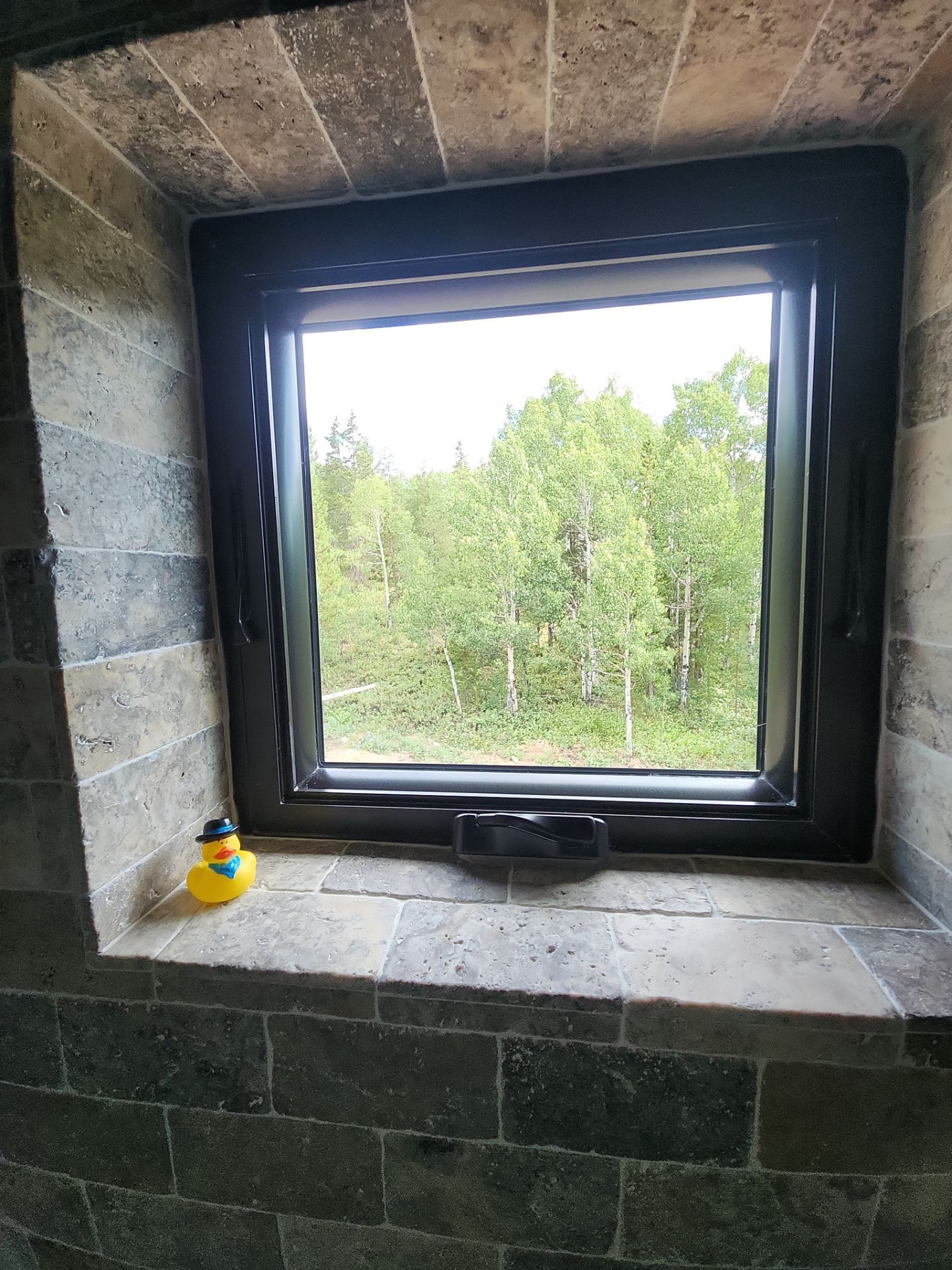 Window Washing in Val Moritz | Granby, Colorado by Wheatley Creek Services
